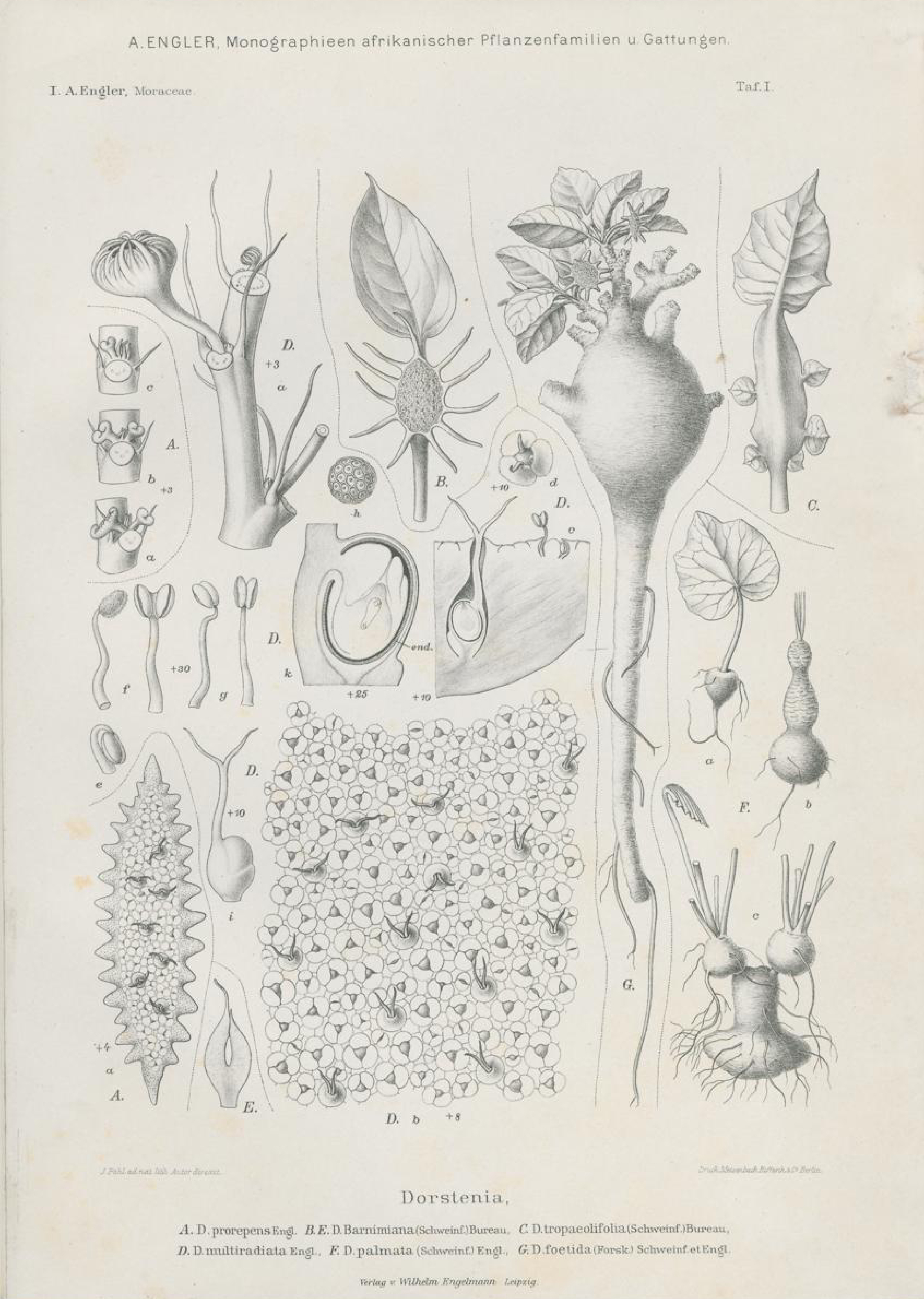 no full size  illustration available (3a)