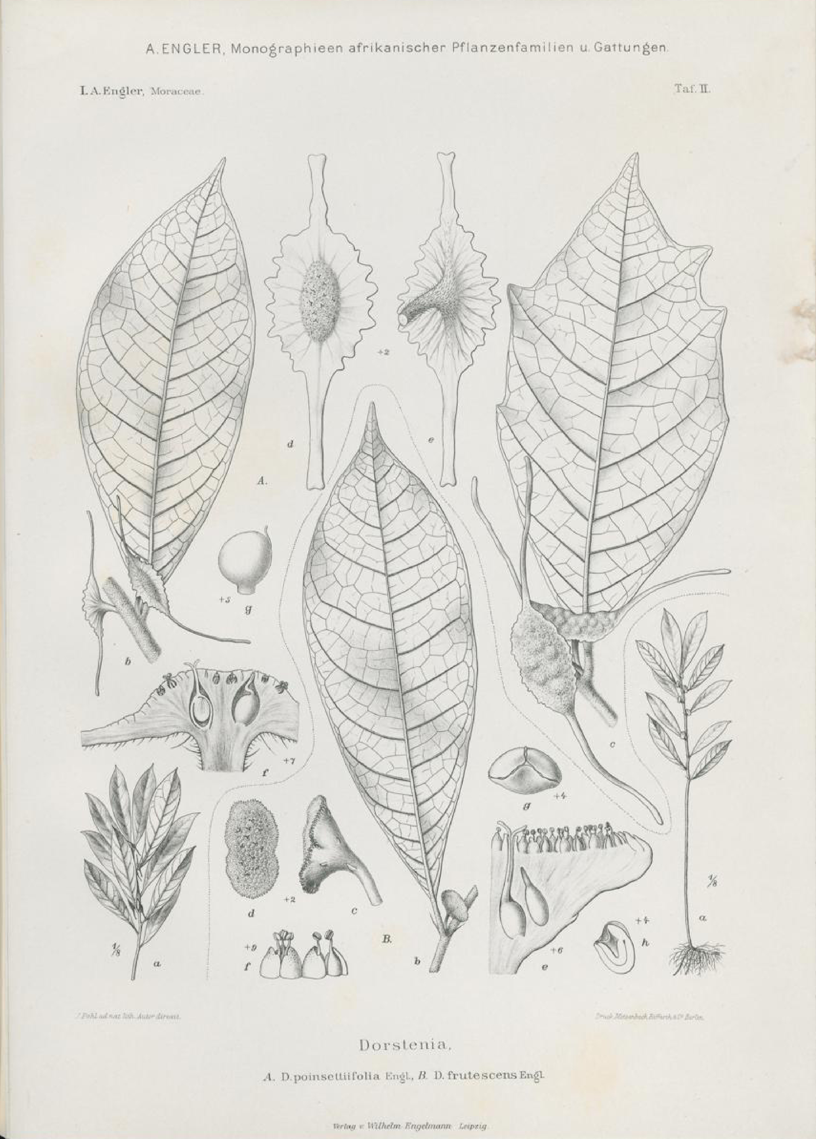 no full size  illustration available (3a)