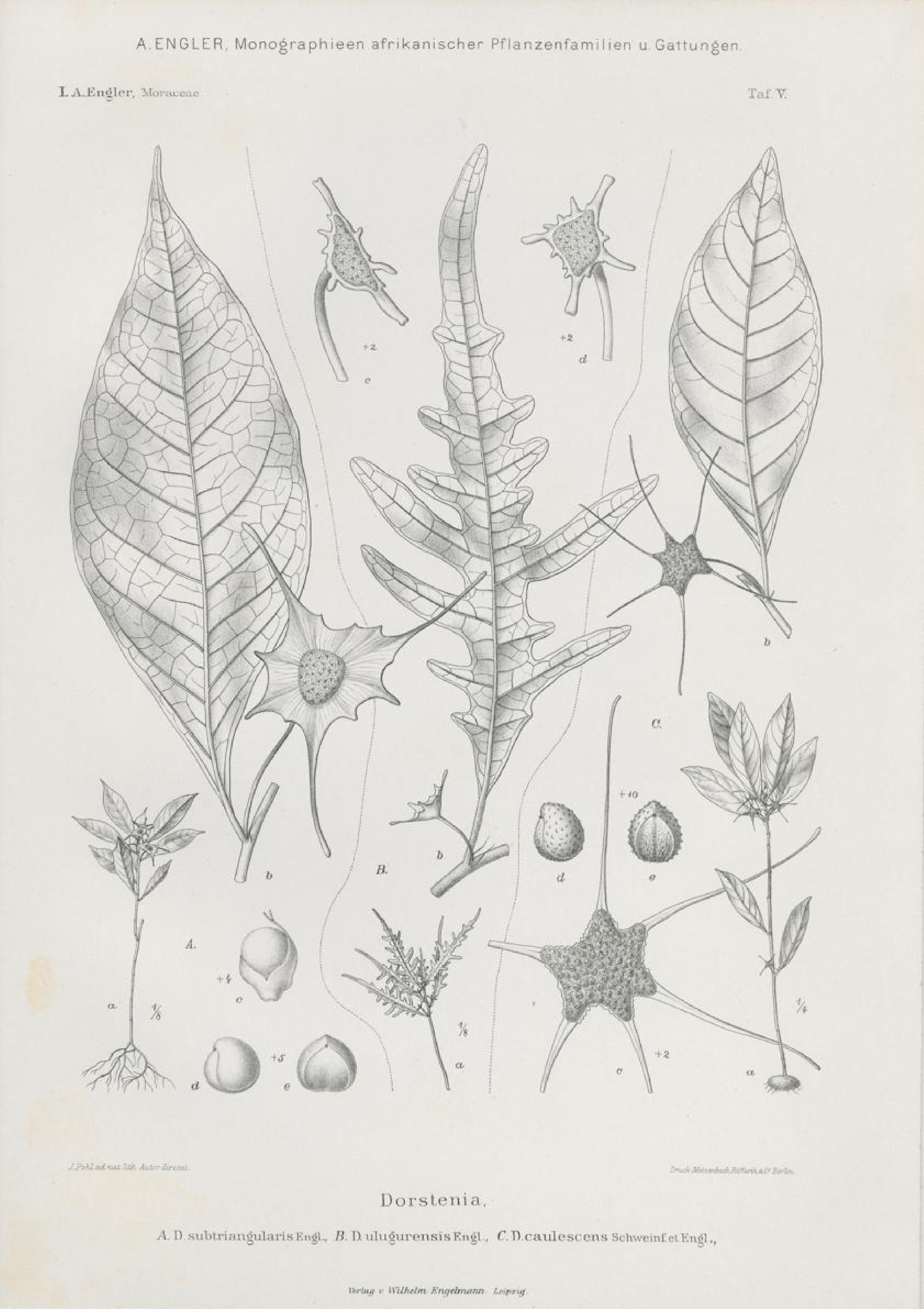 no full size  illustration available (3a)