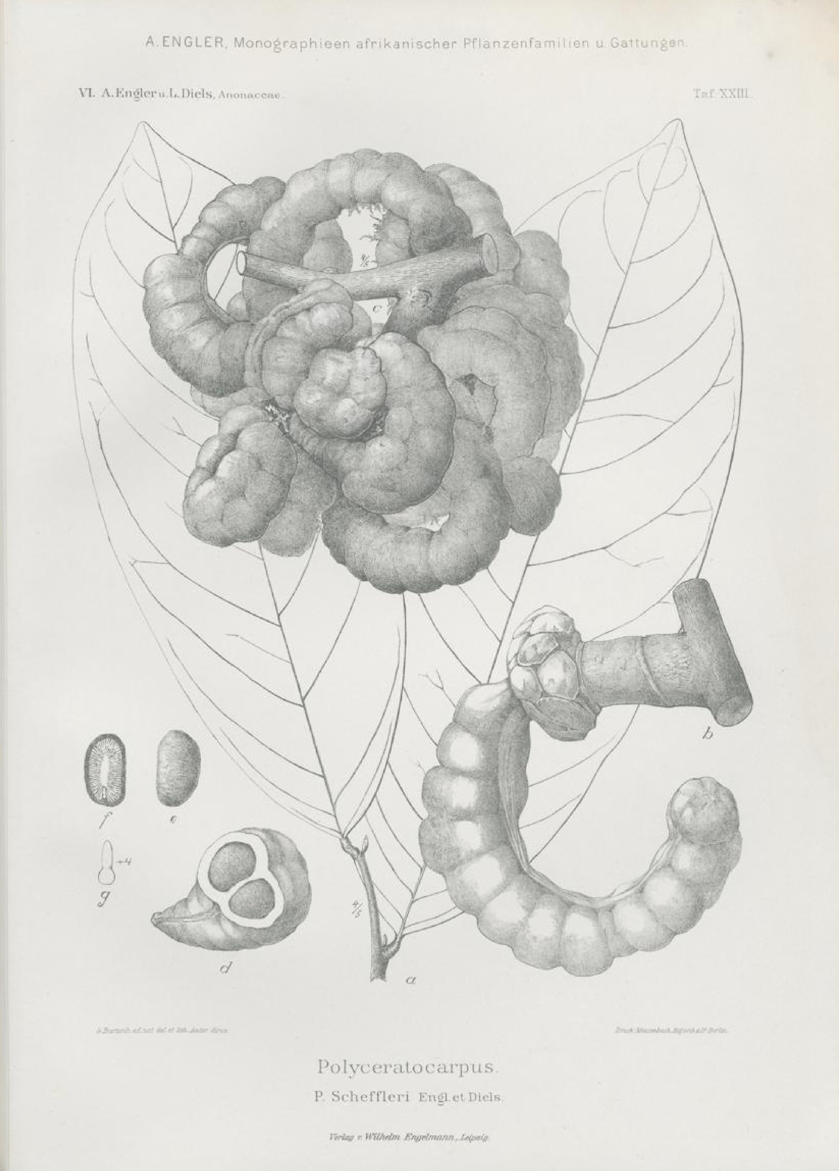 no full size  illustration available (3a)