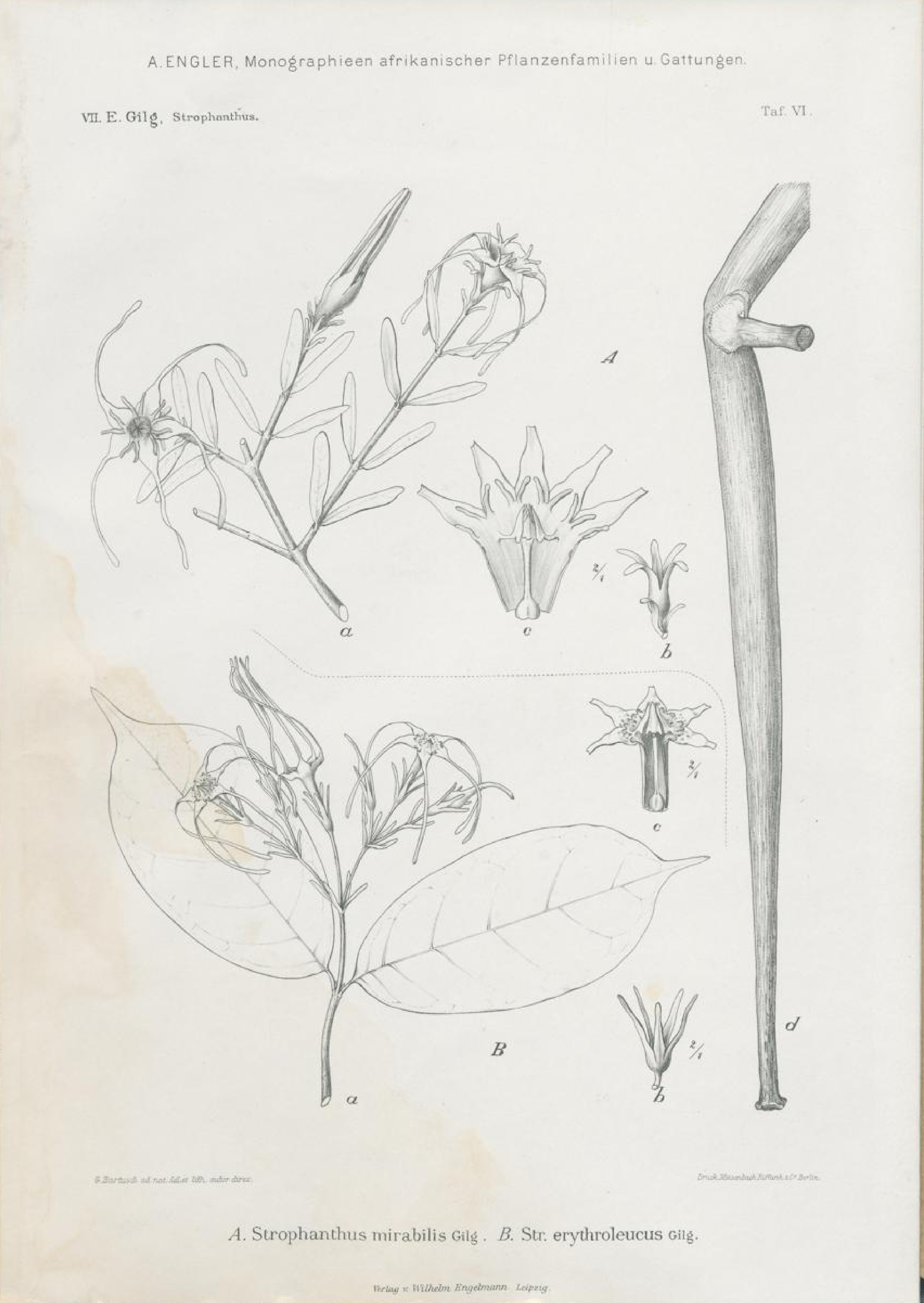 no full size  illustration available (3a)