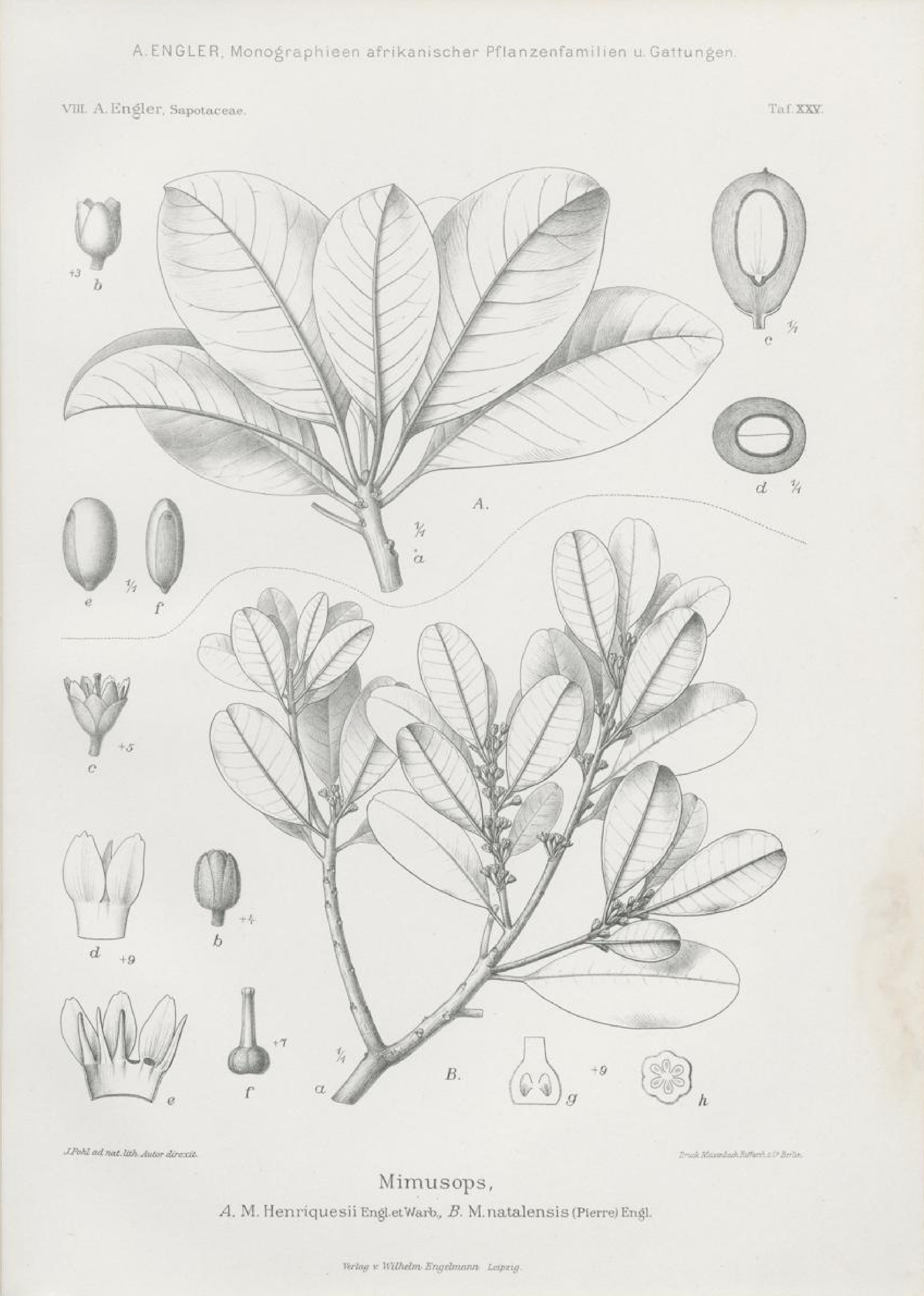 no full size  illustration available (3a)