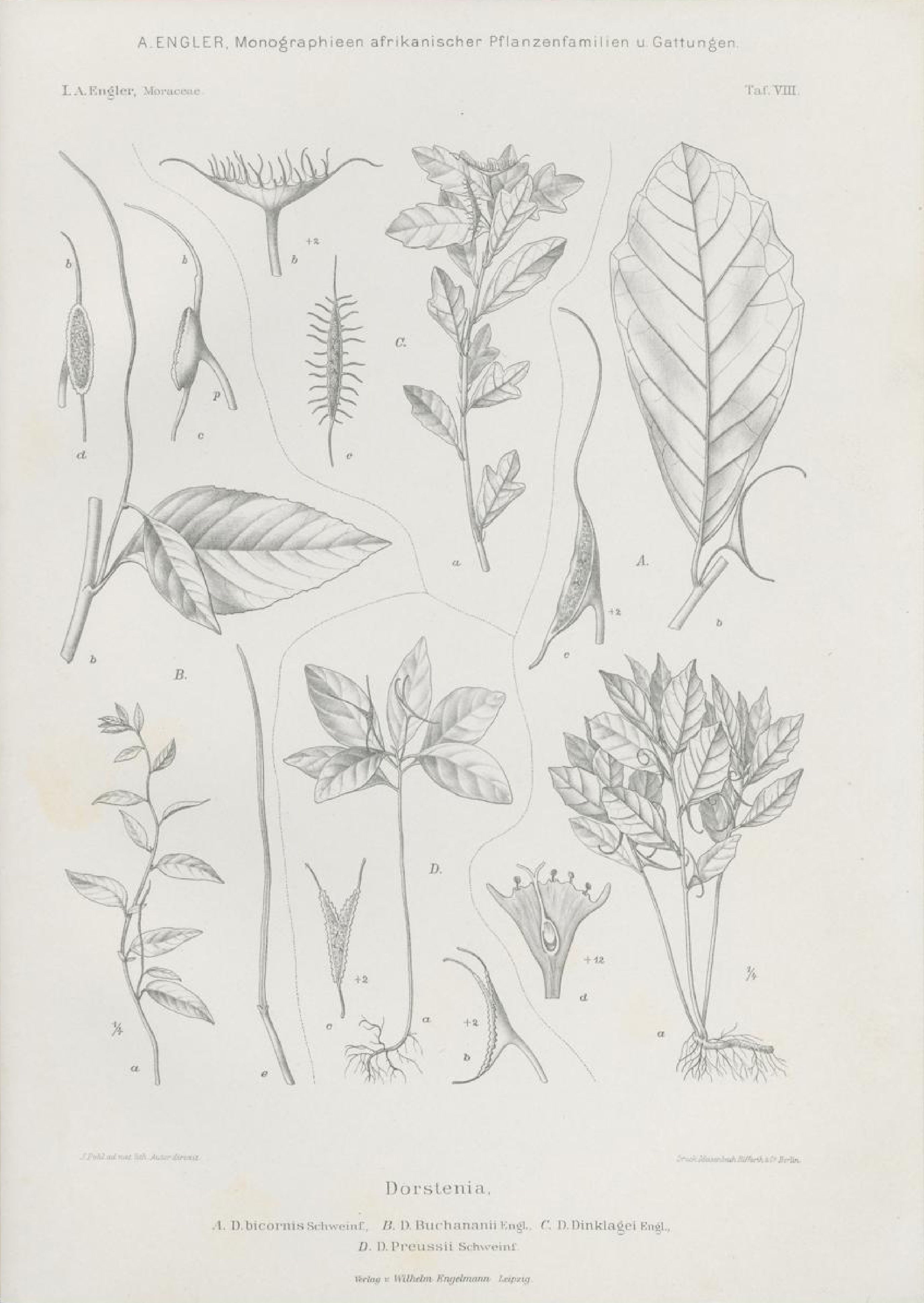 no full size  illustration available (3a)