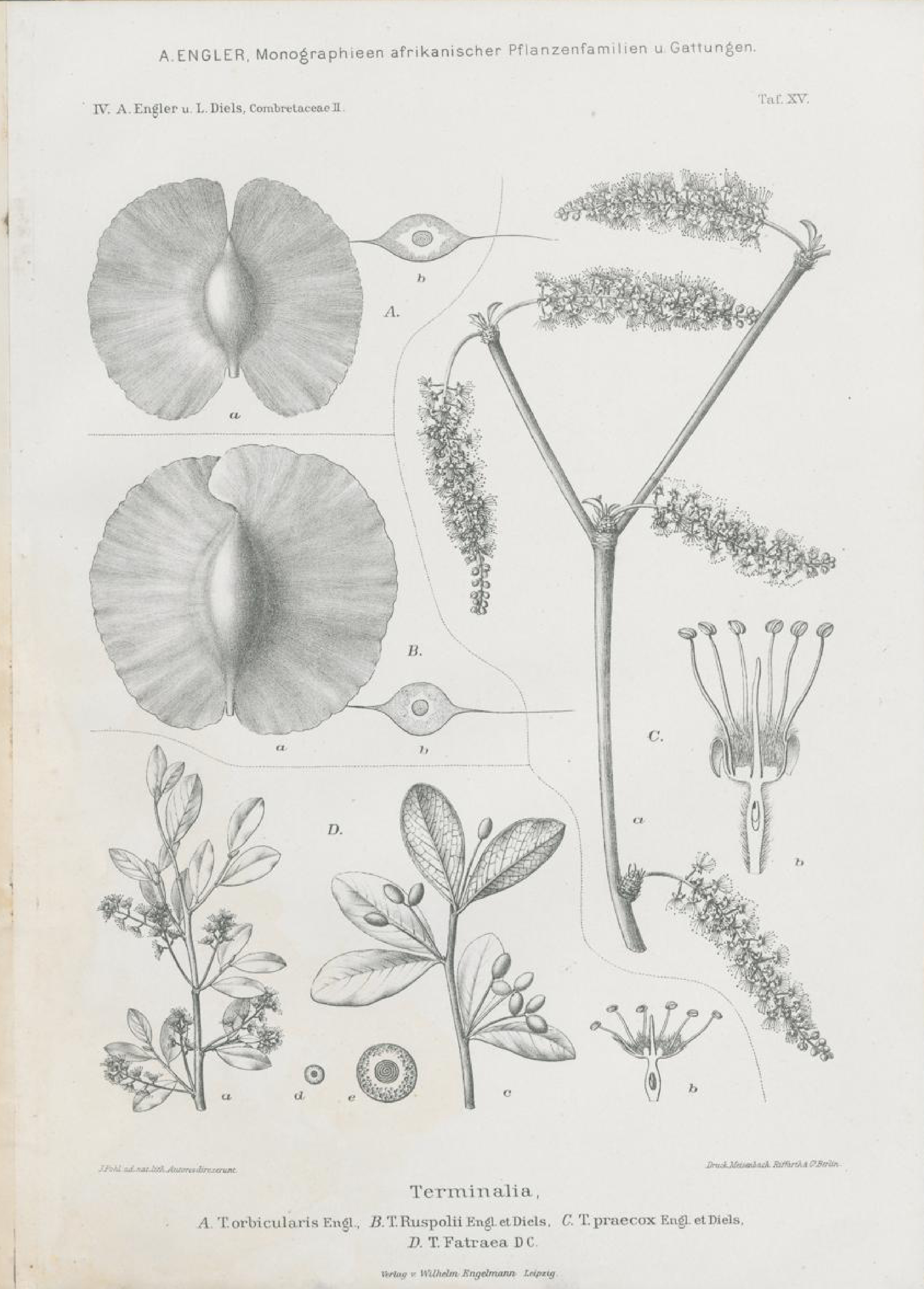 no full size  illustration available (3a)