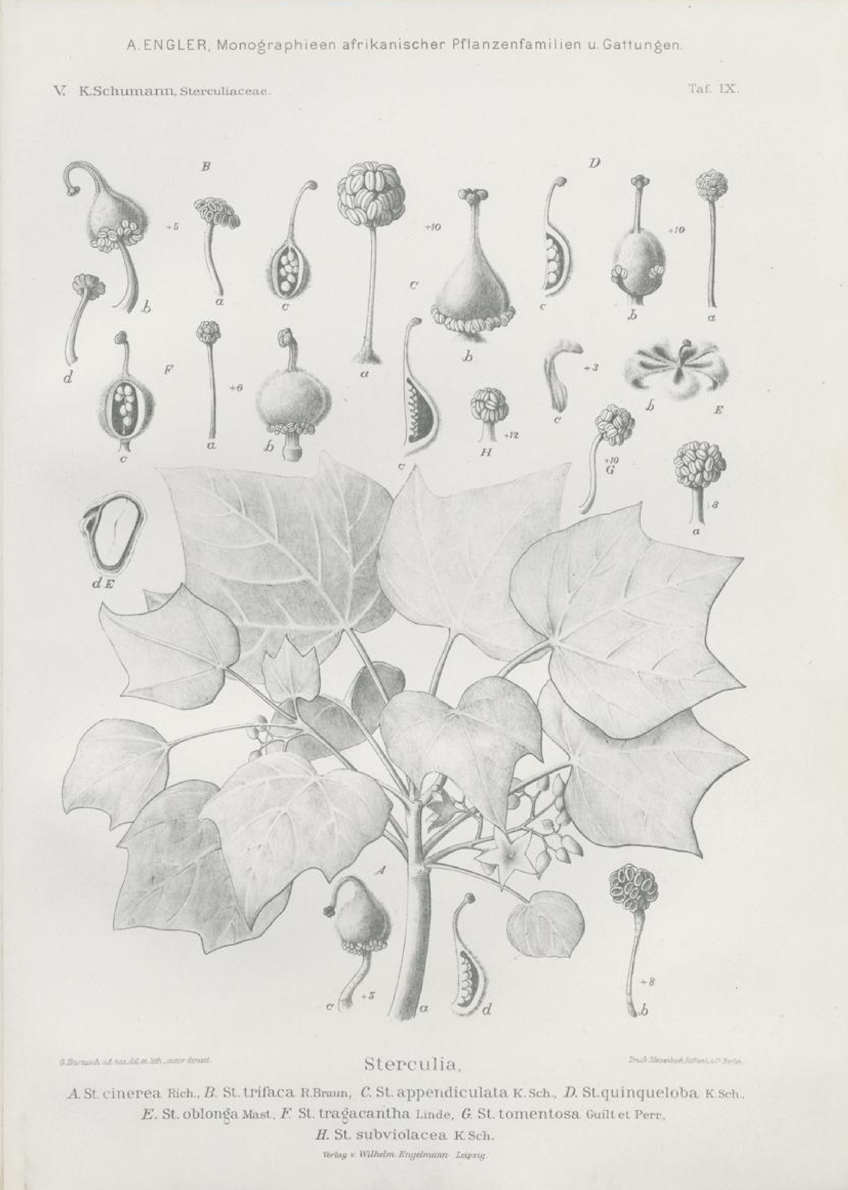 no full size  illustration available (3a)