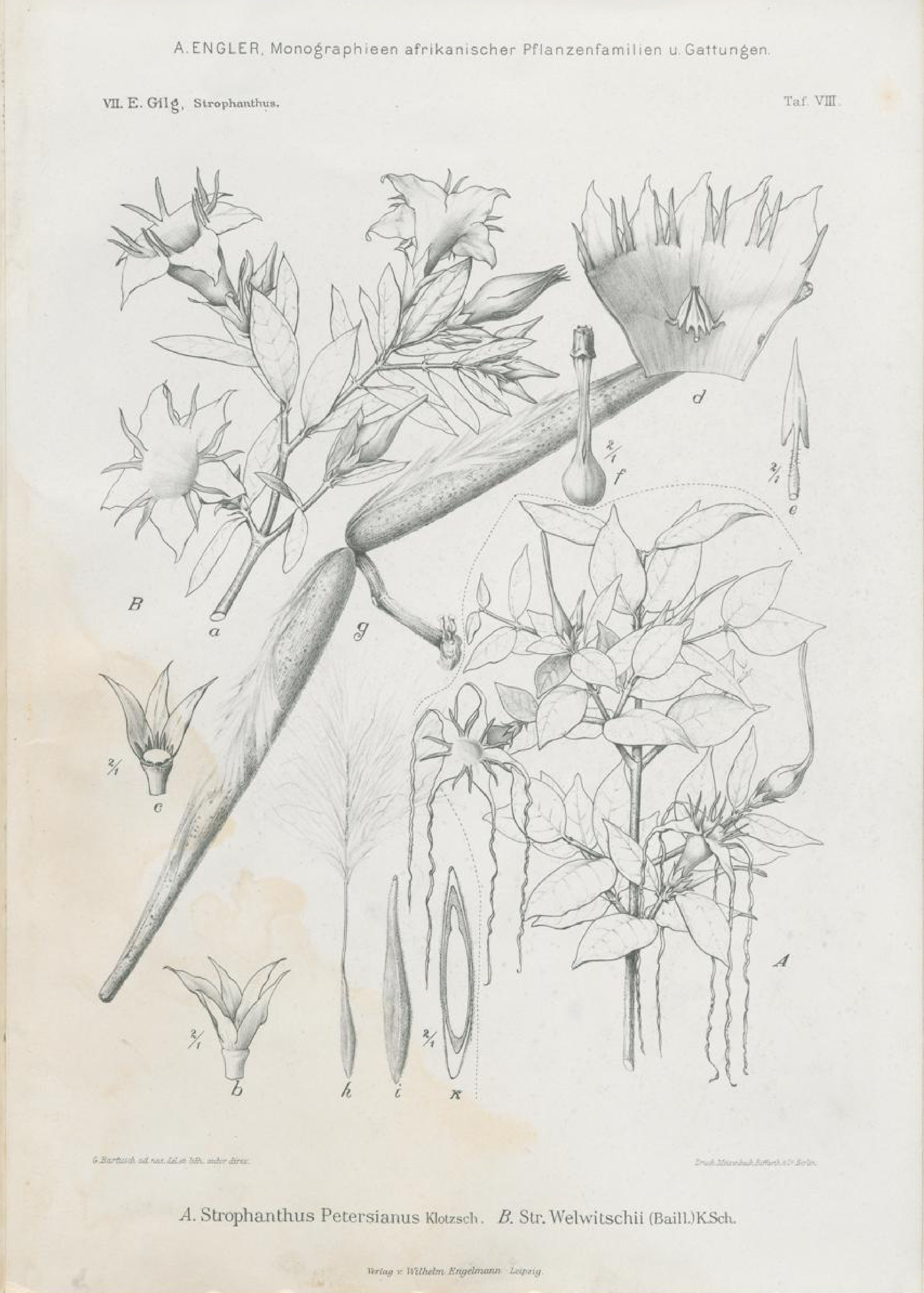 no full size  illustration available (3a)