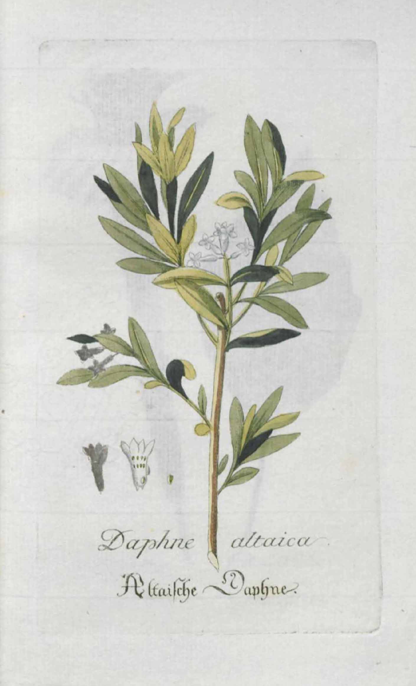 no full size  illustration available (3a)