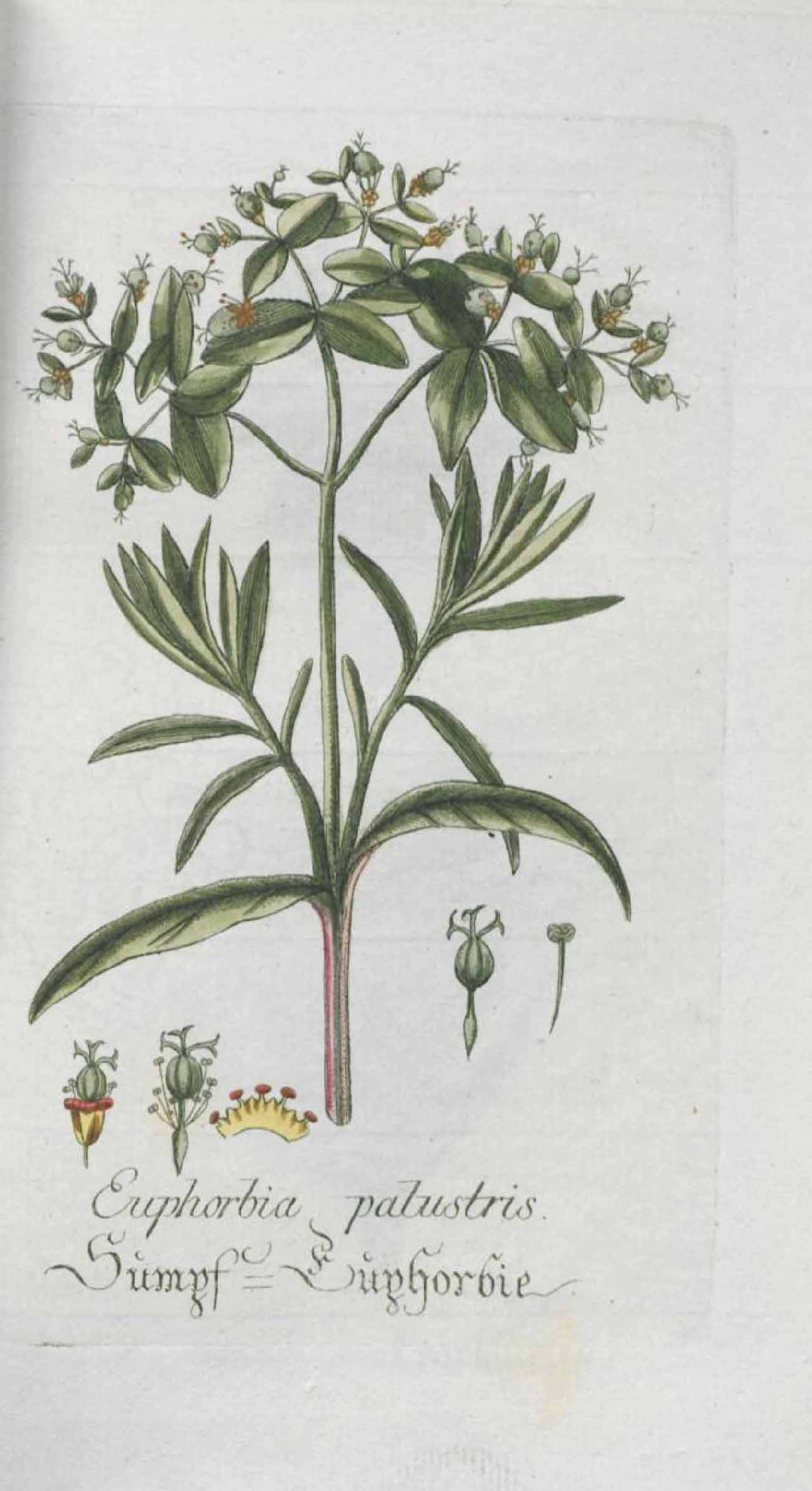 no full size  illustration available (3a)