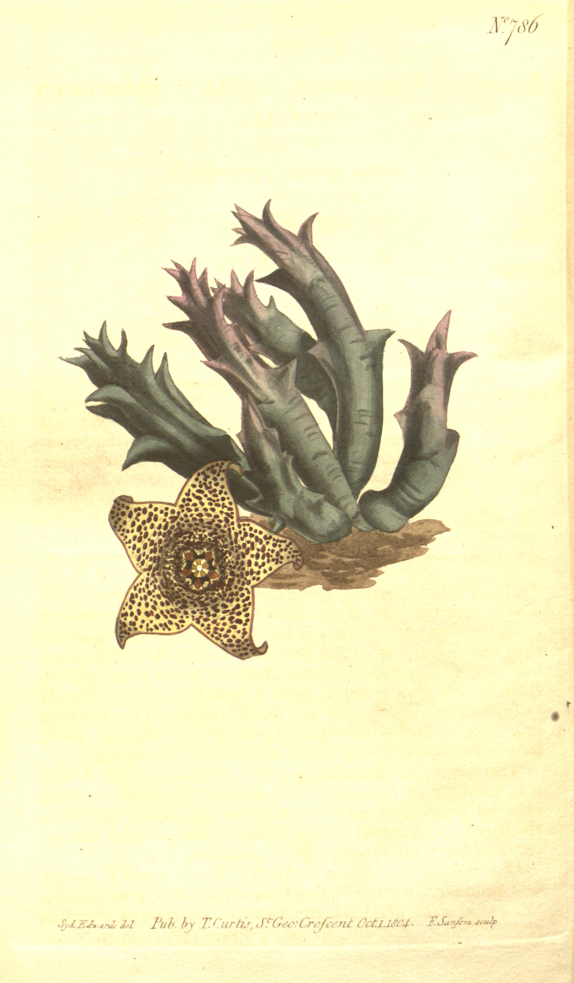 no full size  illustration available (3a)