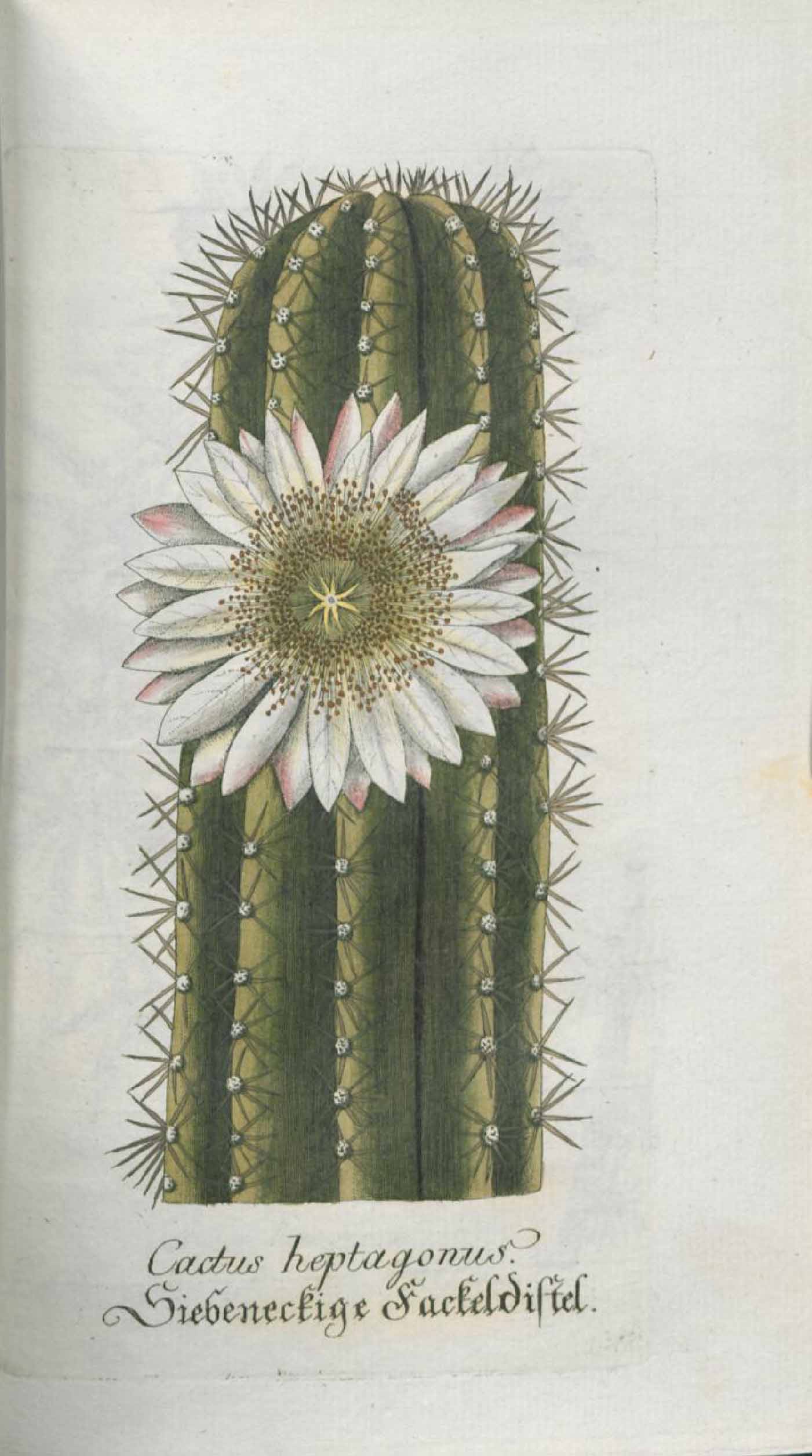 no full size  illustration available (3a)