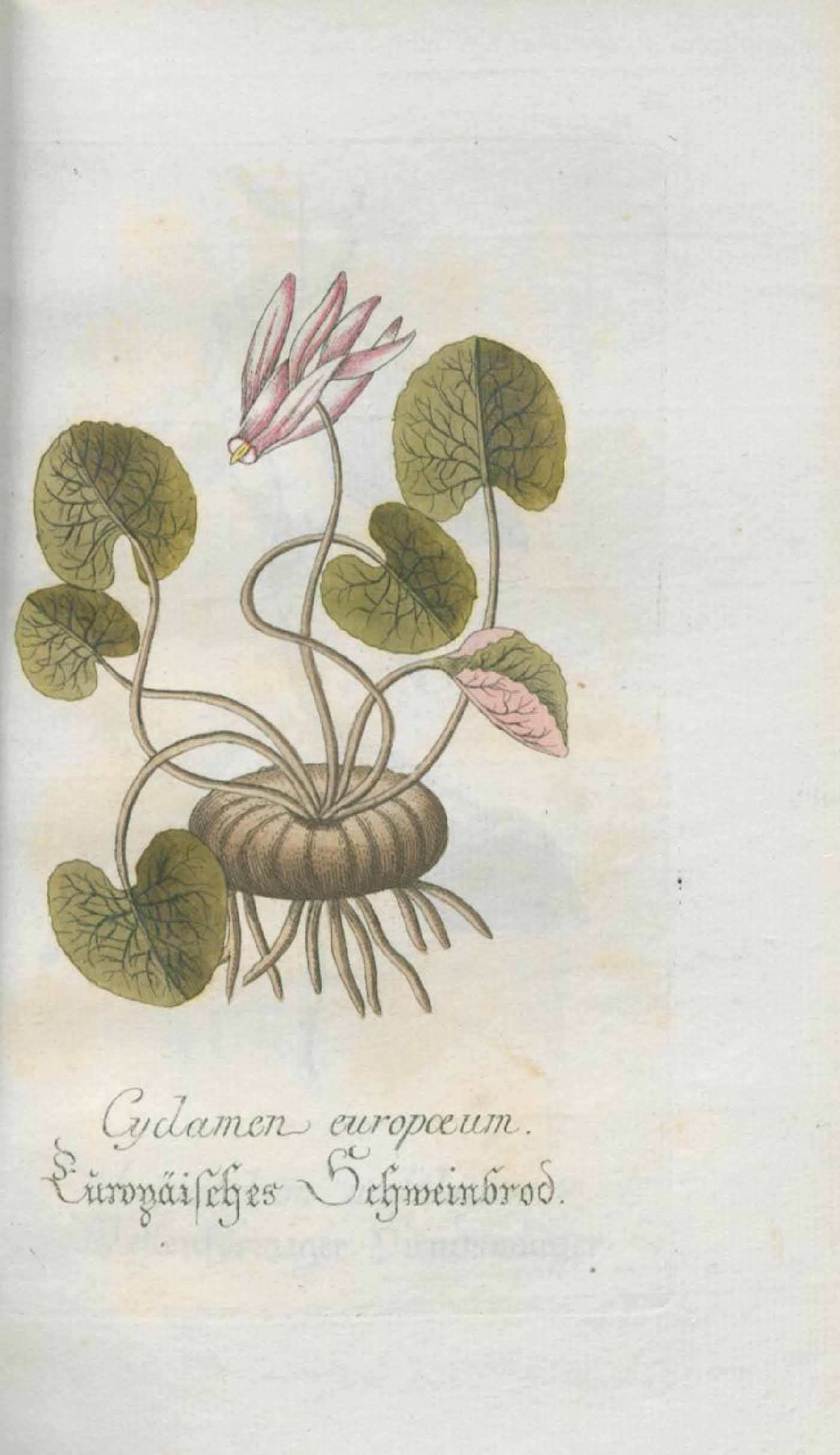 no full size  illustration available (3a)