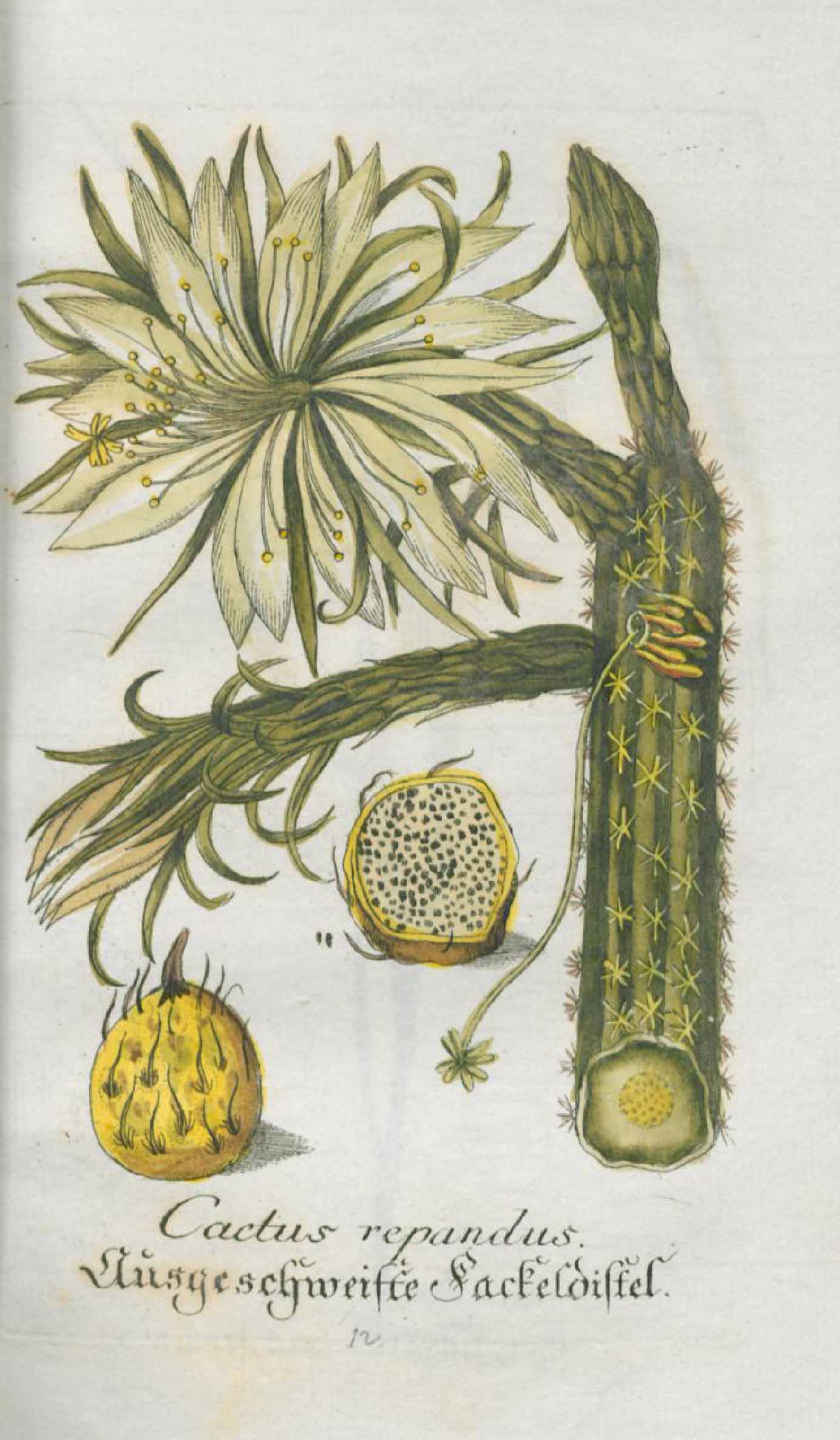 no full size  illustration available (3a)