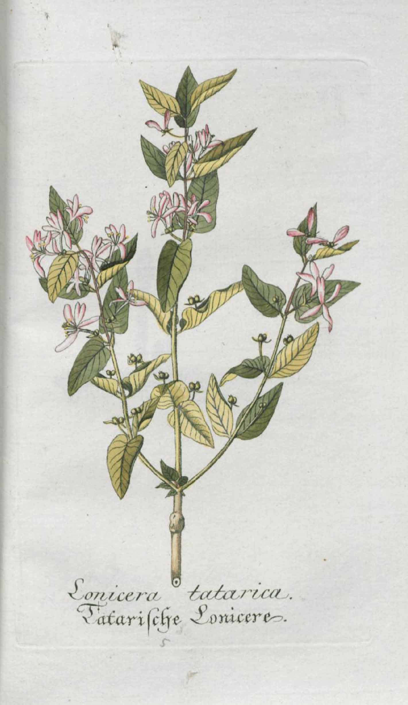 no full size  illustration available (3a)