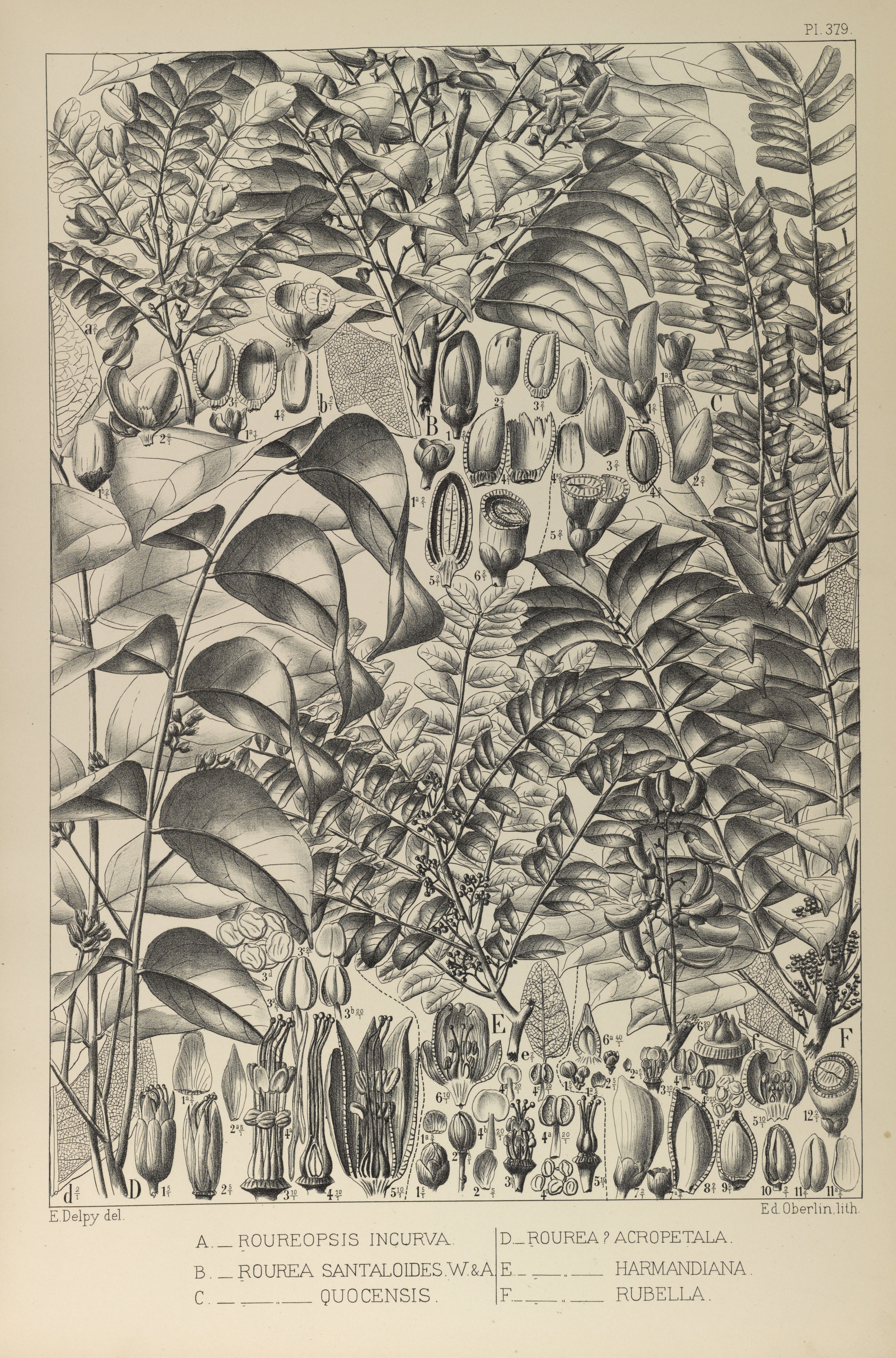 no full size  illustration available (3a)