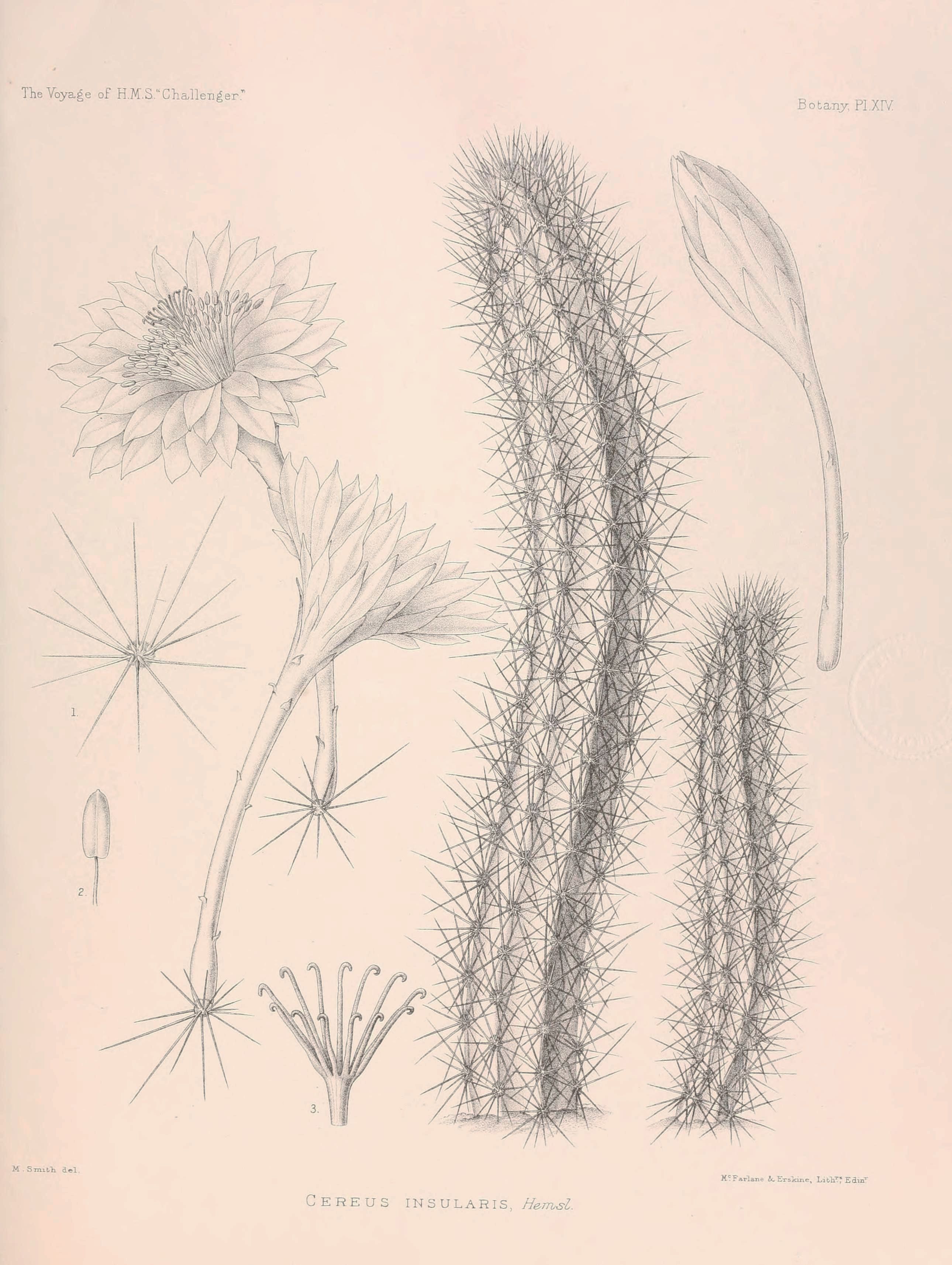 no full size  illustration available (3a)