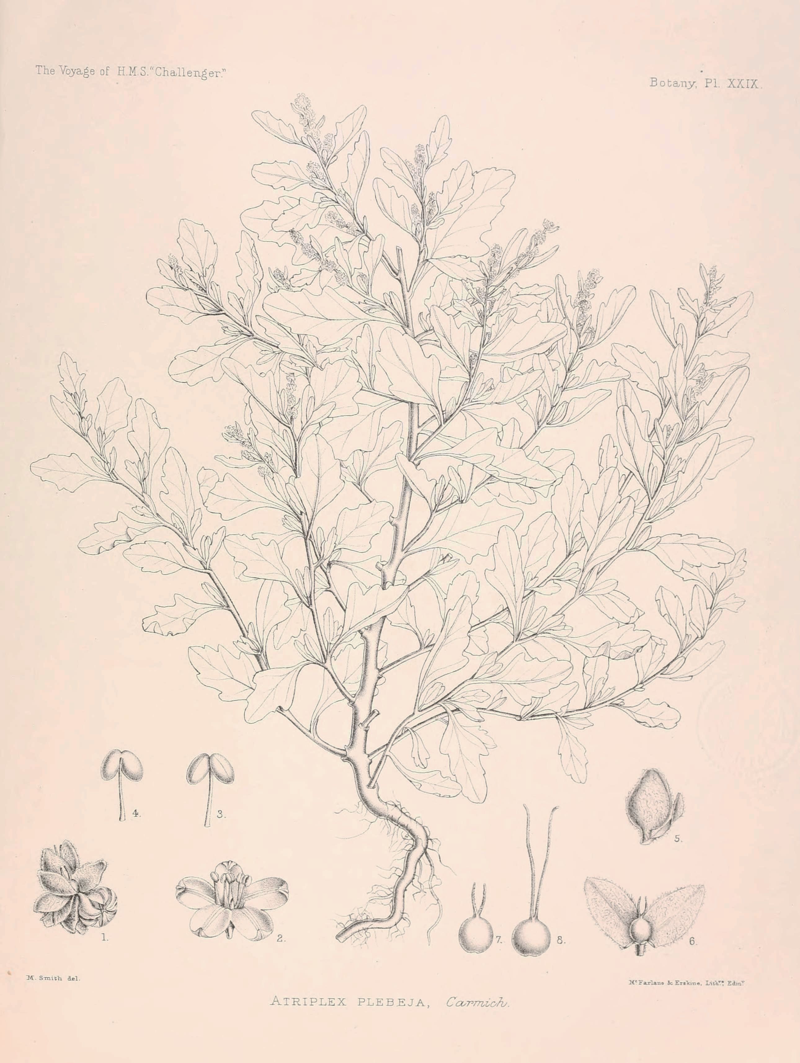 no full size  illustration available (3a)