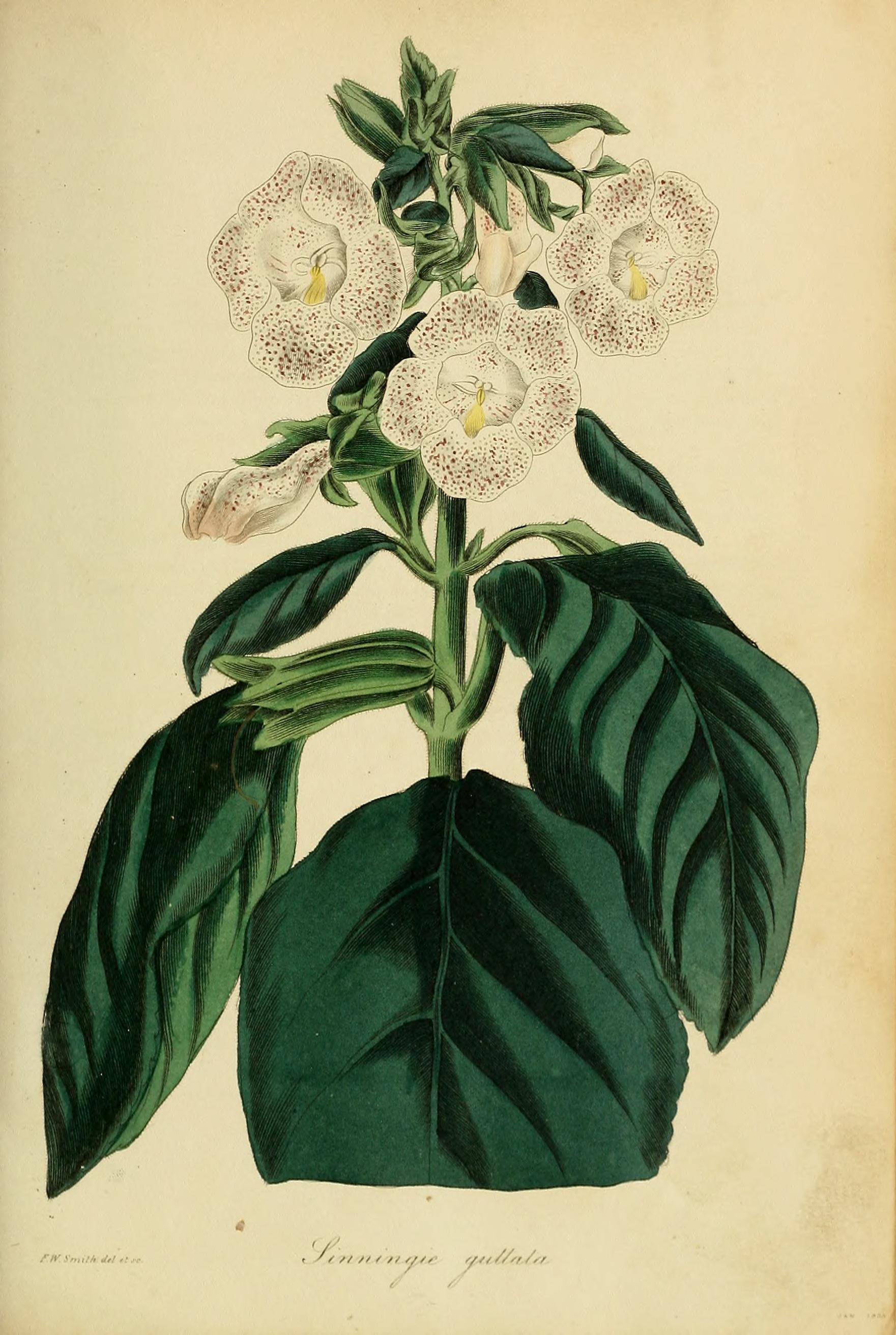 no full size  illustration available (3a)