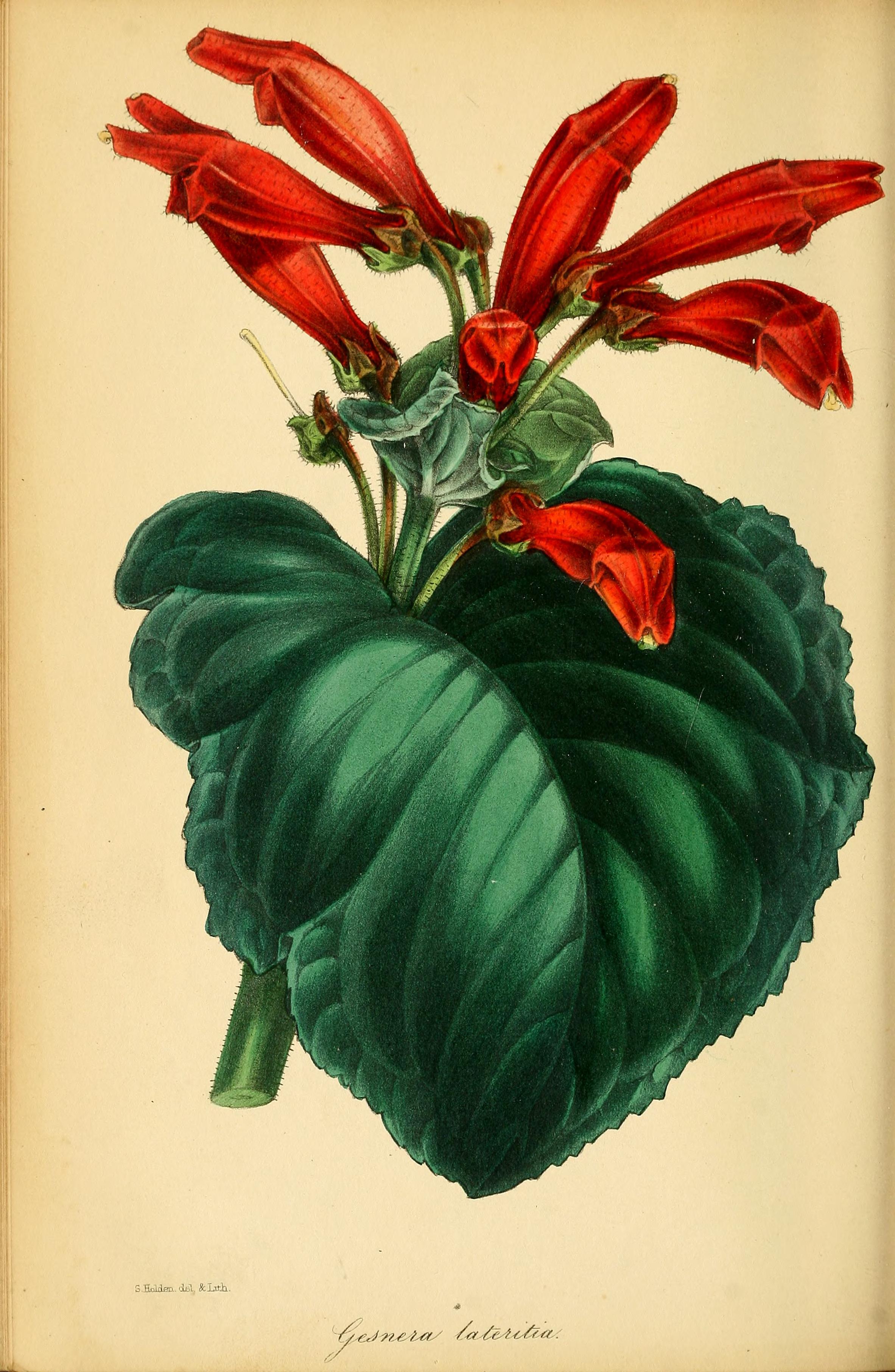 no full size  illustration available (3a)