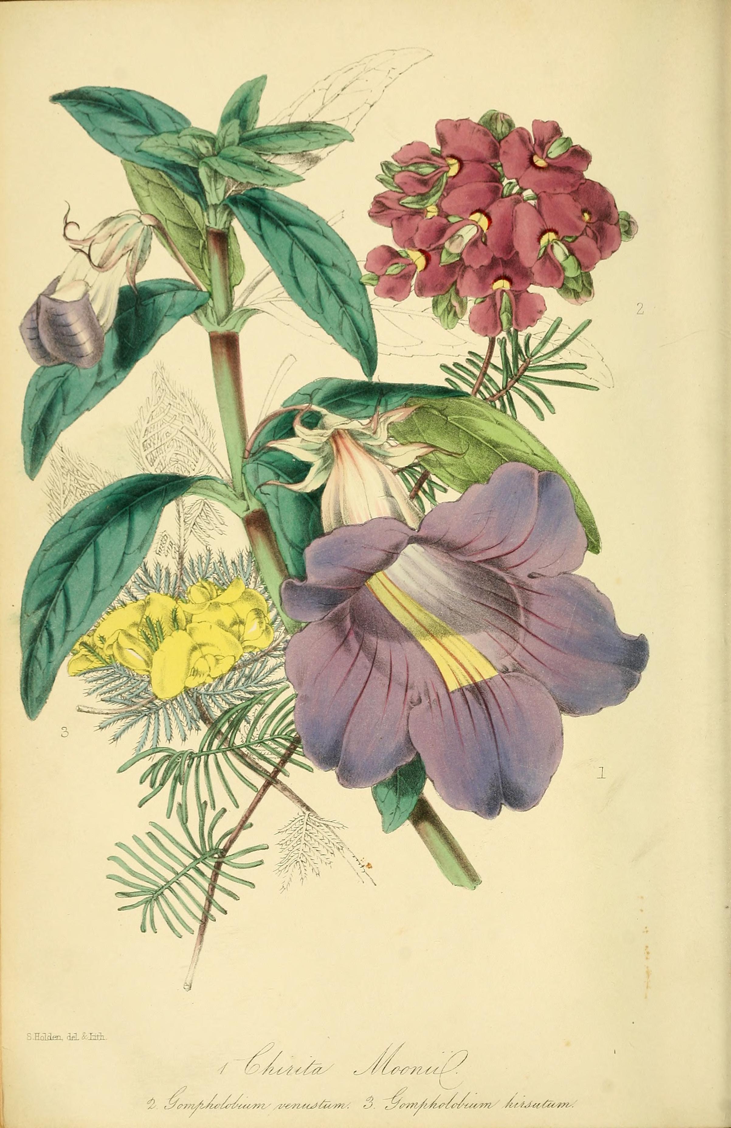 no full size  illustration available (3a)