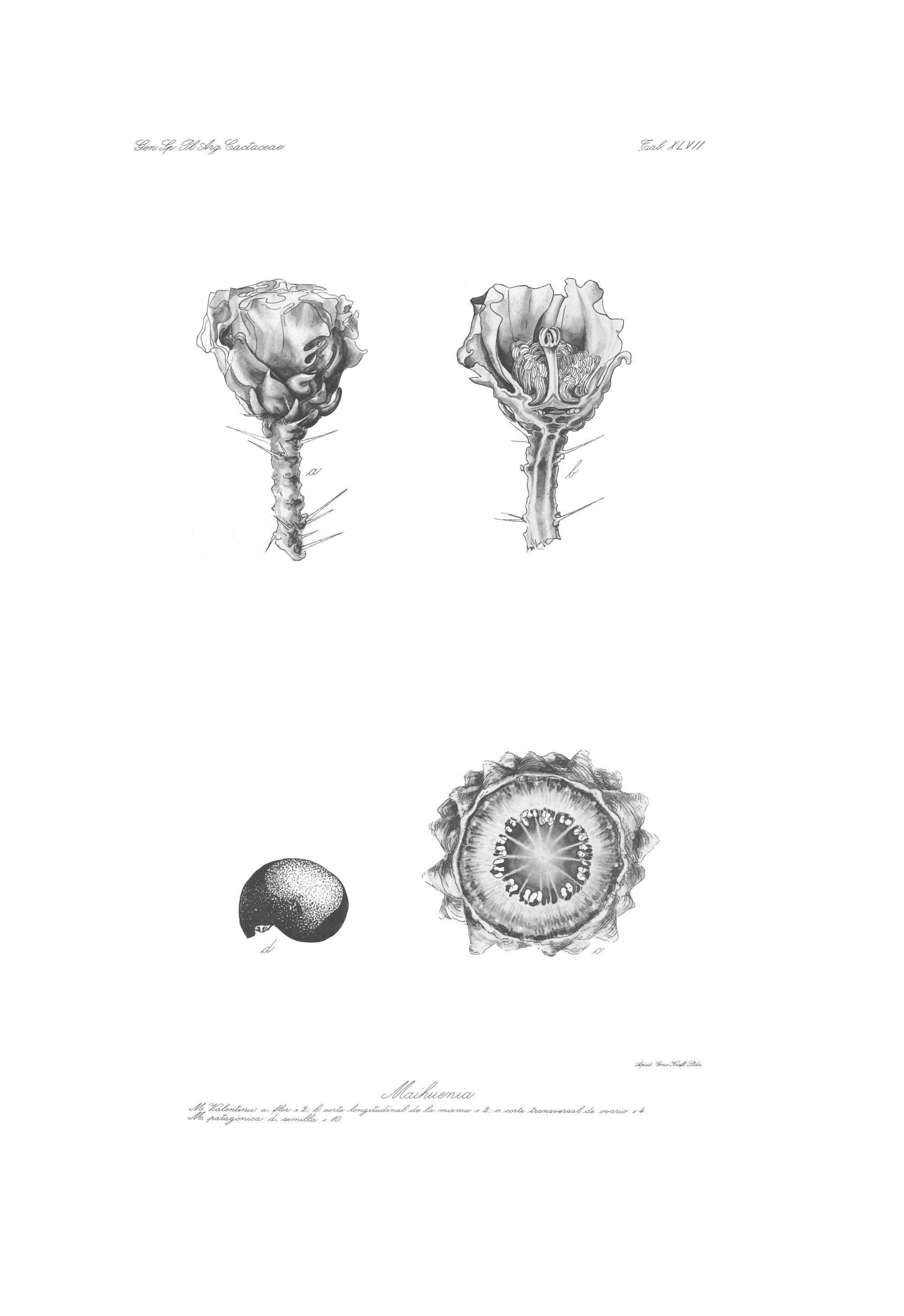 no full size  illustration available (3a)