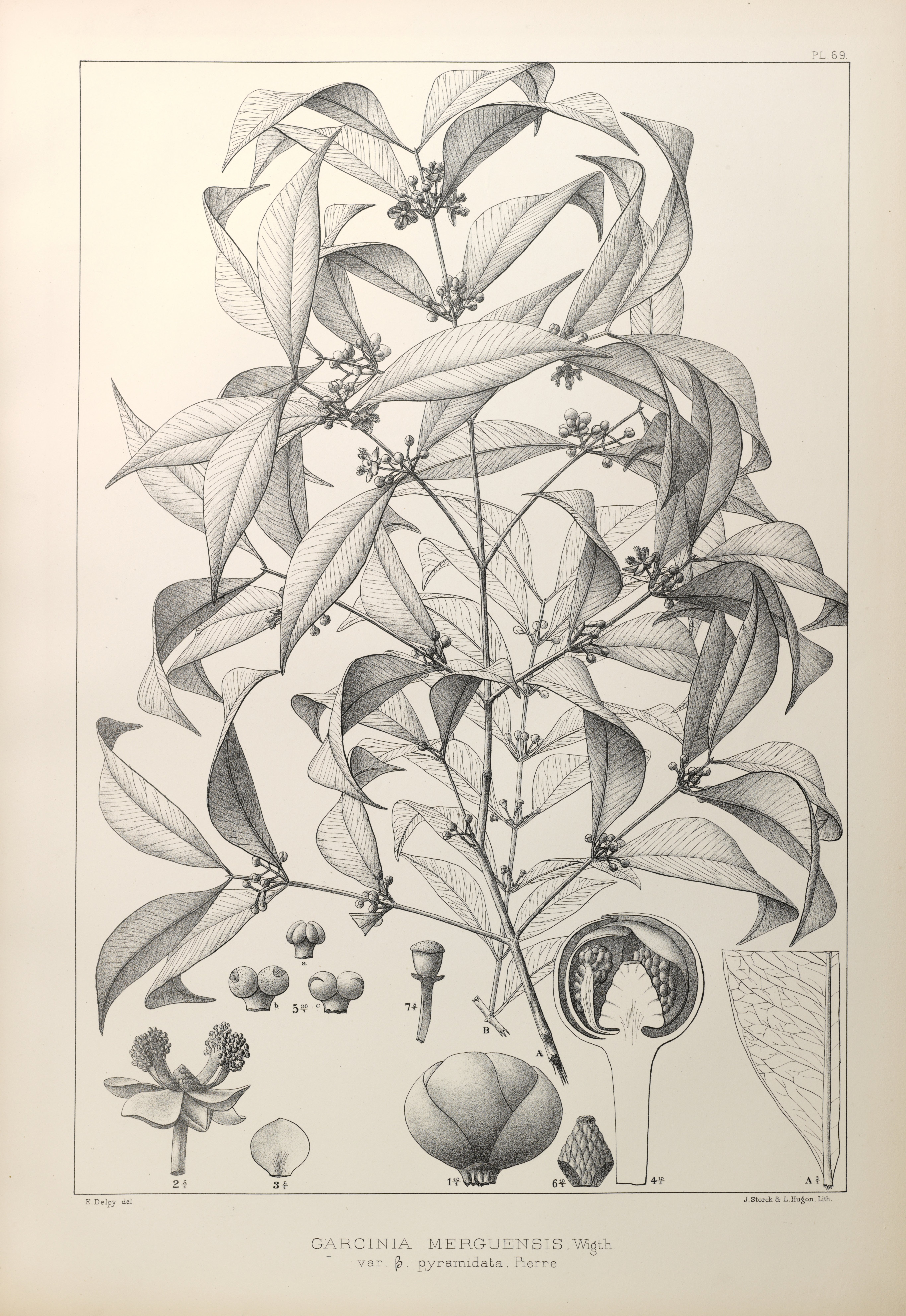 no full size  illustration available (3a)