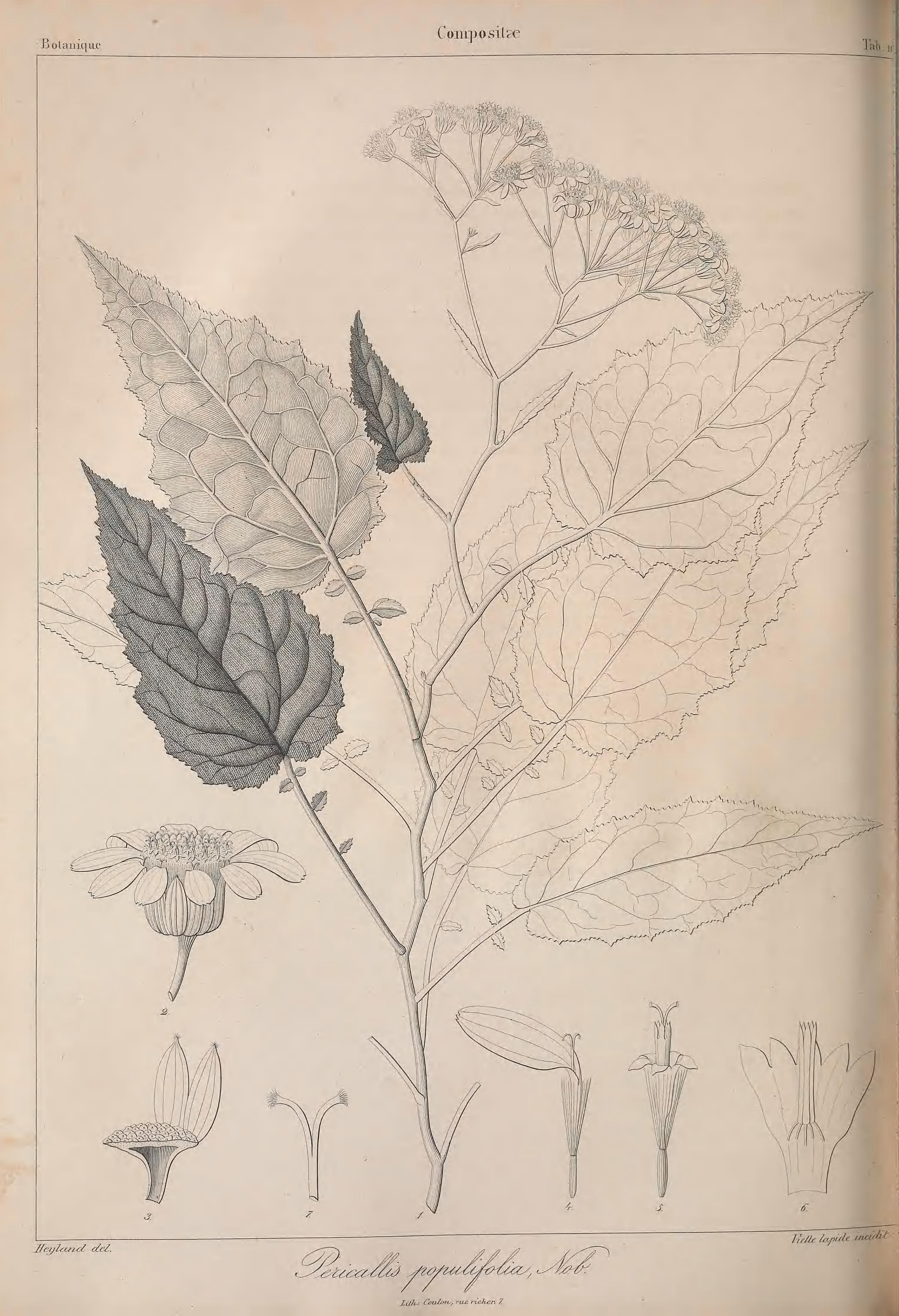 no full size  illustration available (3a)