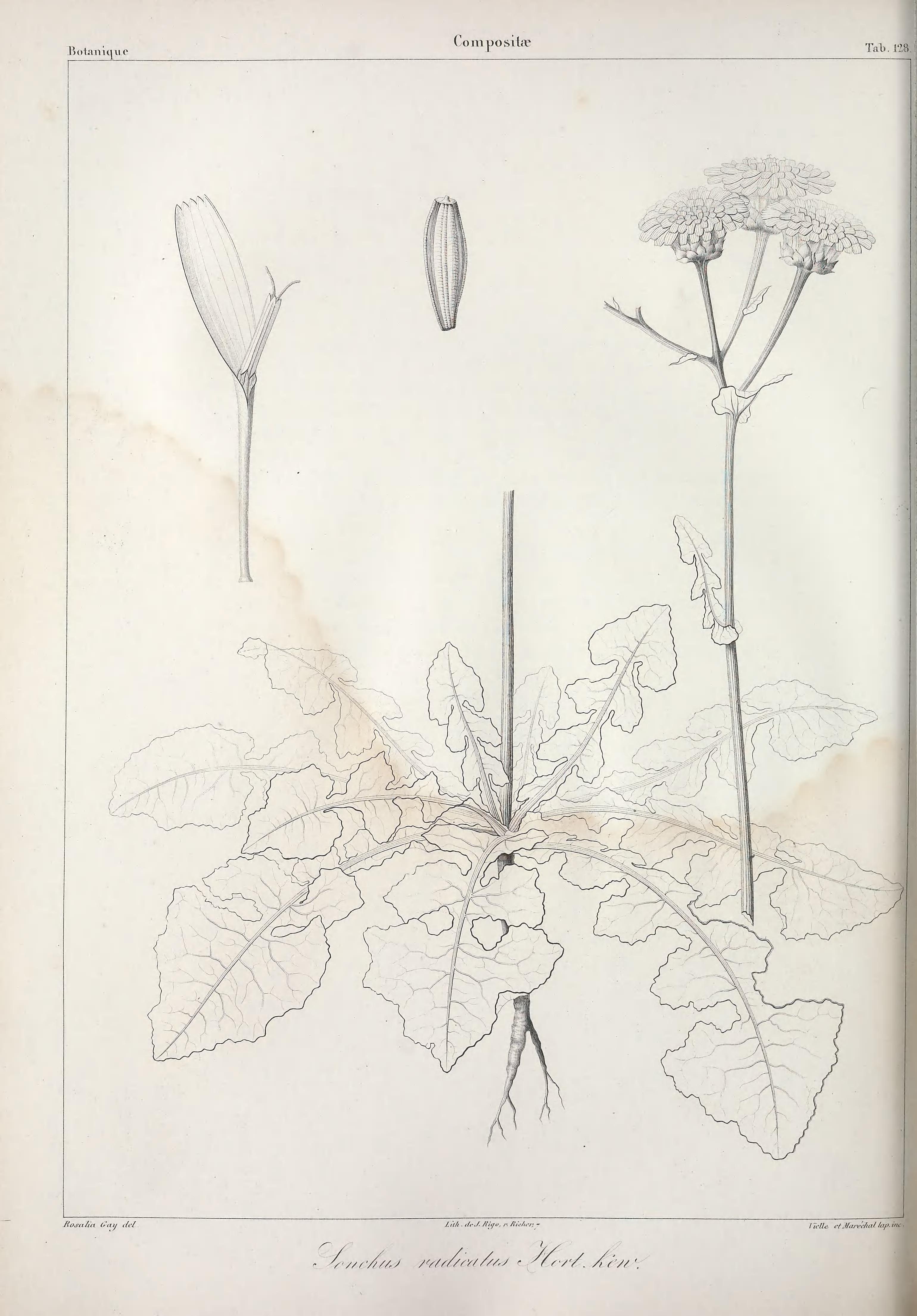 no full size  illustration available (3a)