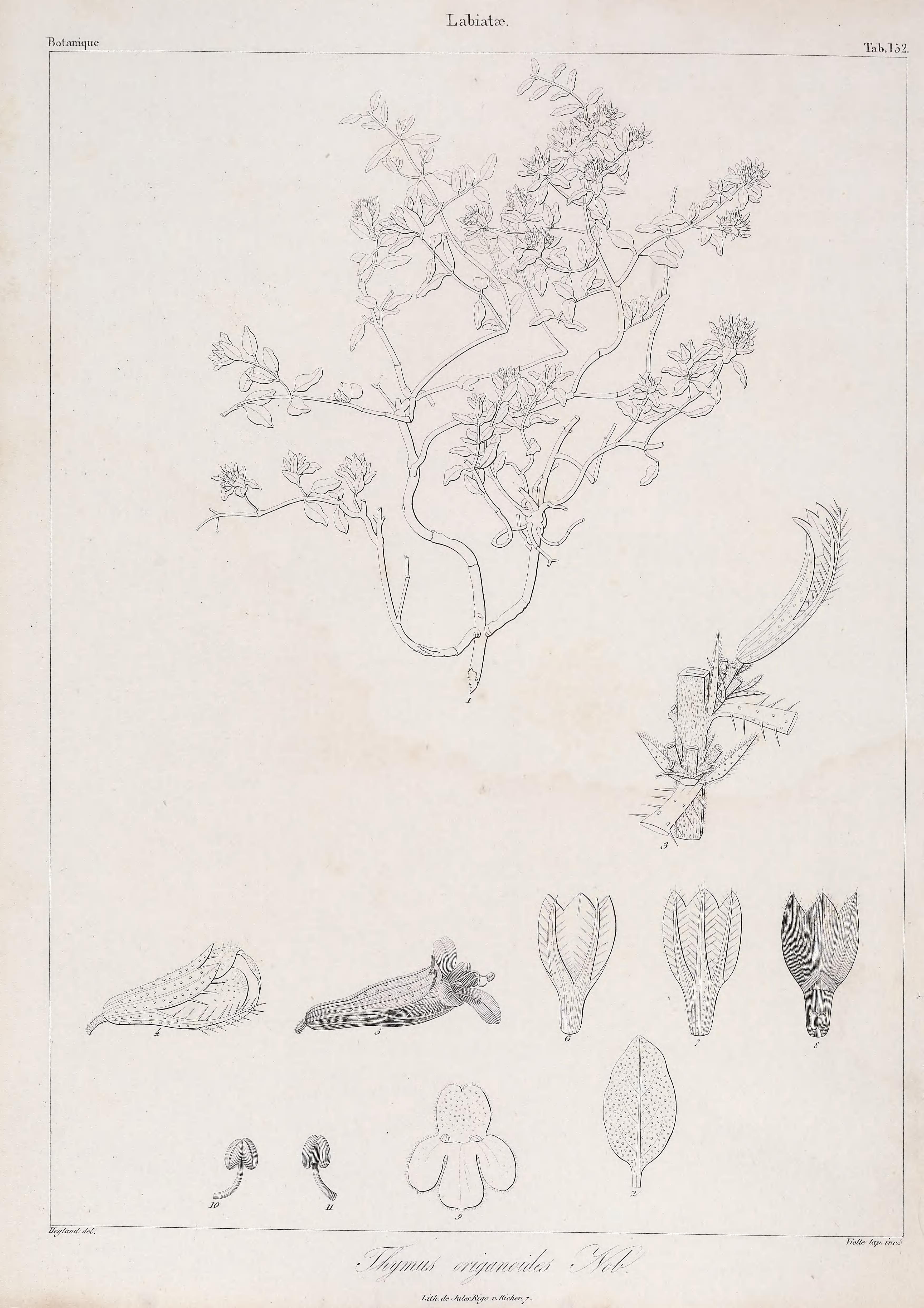 no full size  illustration available (3a)