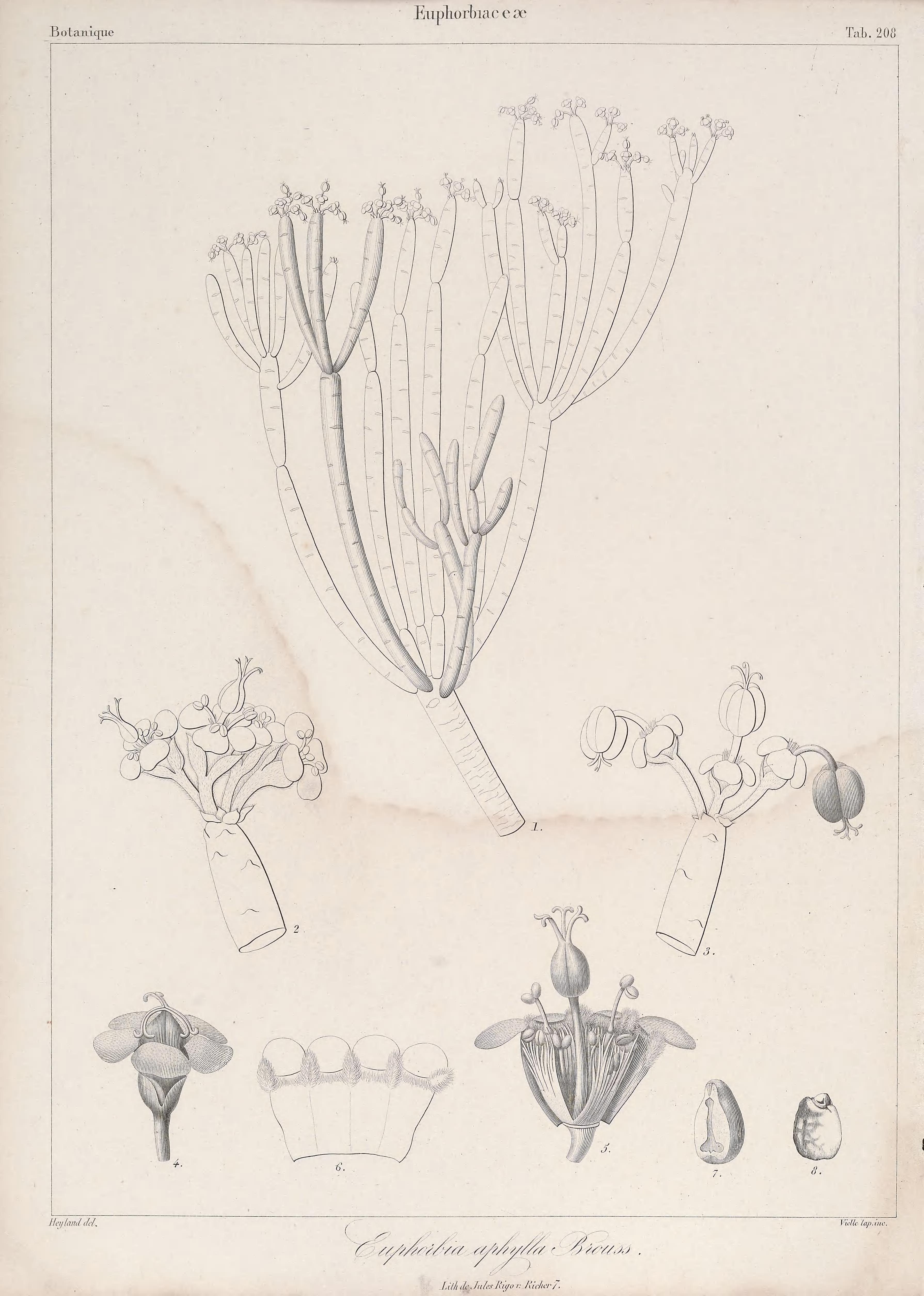 no full size  illustration available (3a)