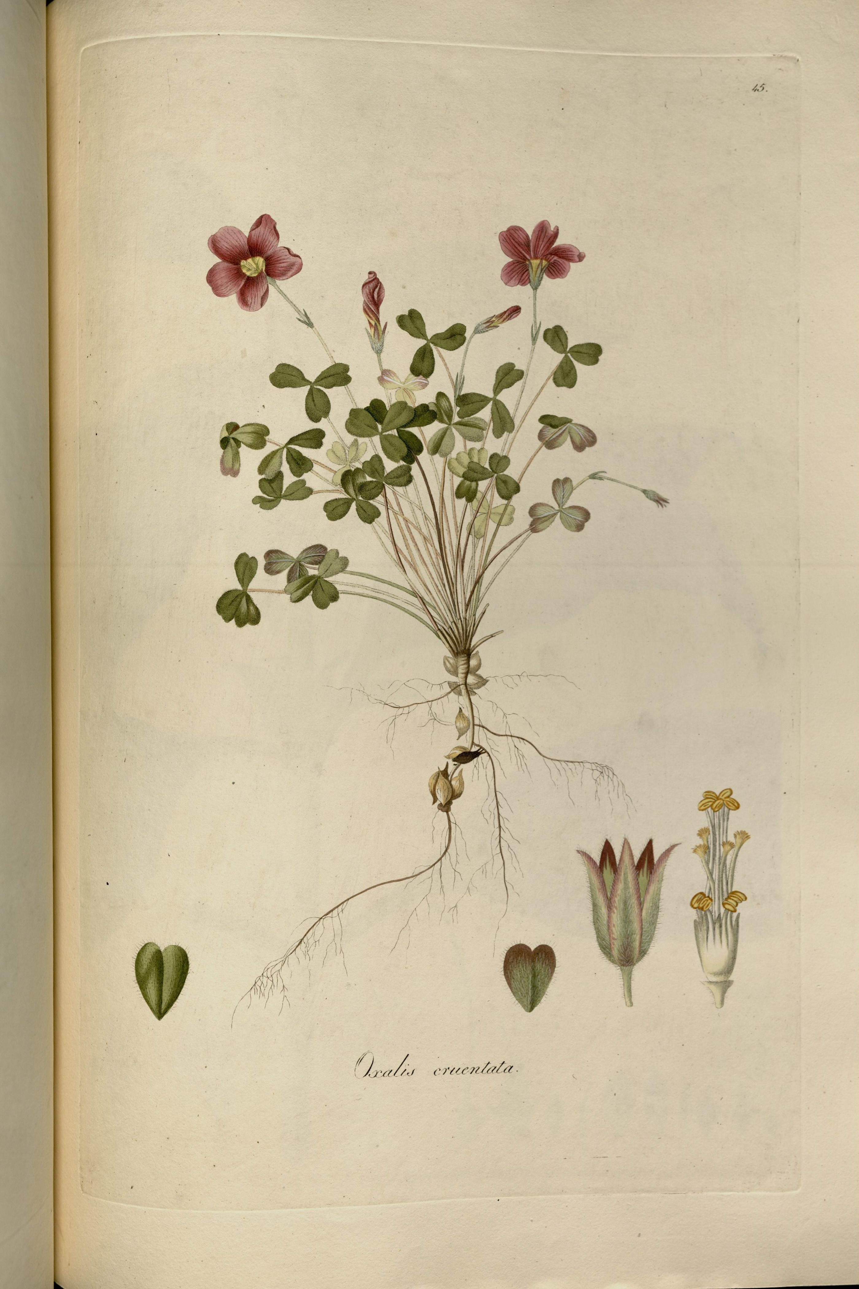 no full size  illustration available (3a)