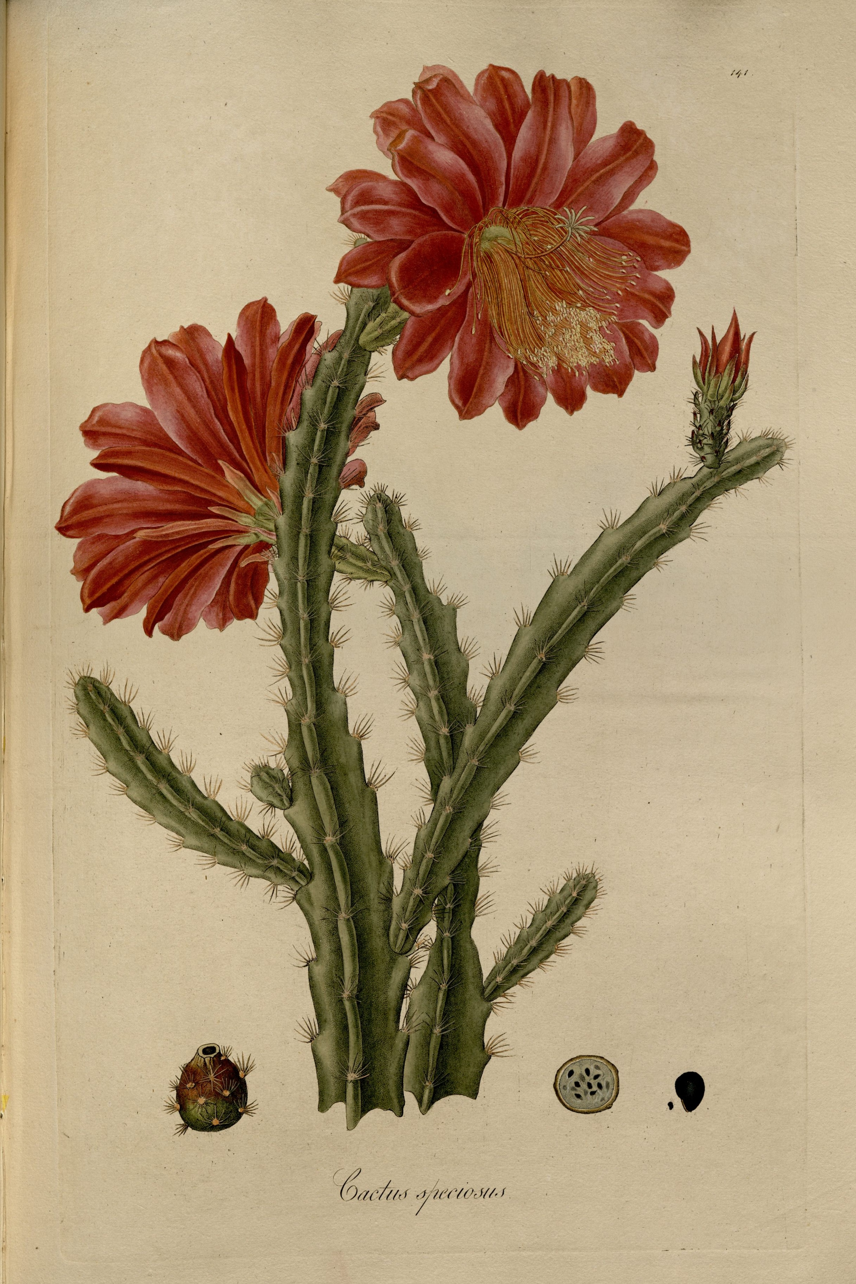 no full size  illustration available (3a)