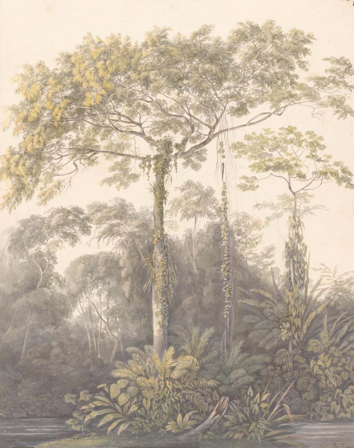 no full size  illustration available (3a)