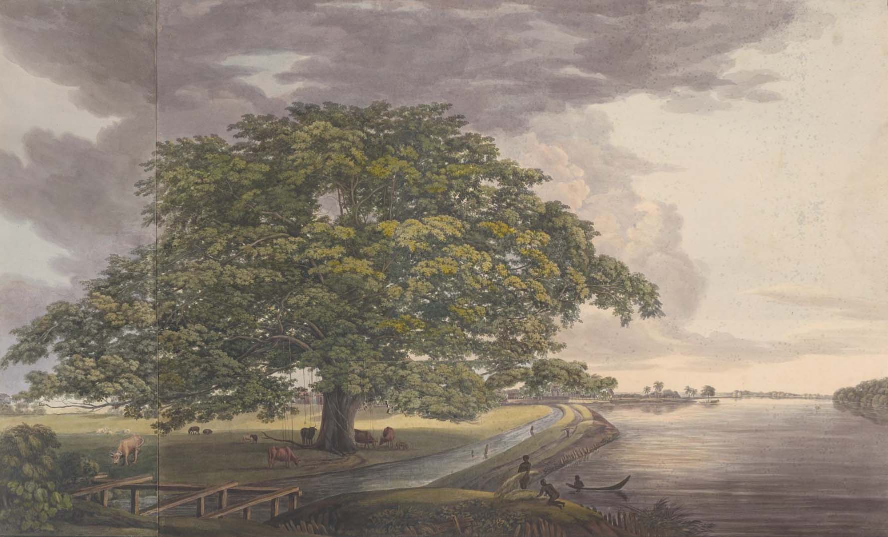 no full size  illustration available (3a)