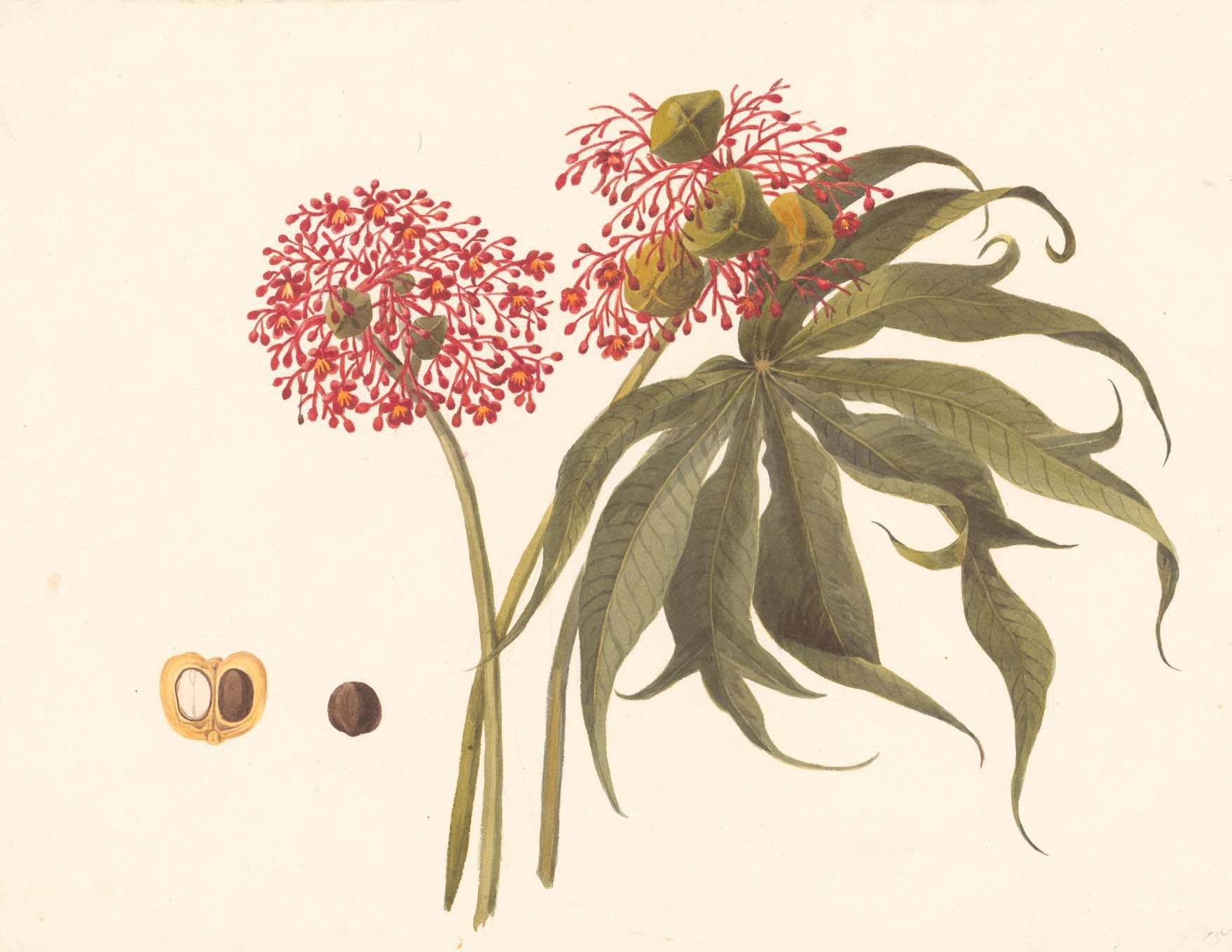 no full size  illustration available (3a)