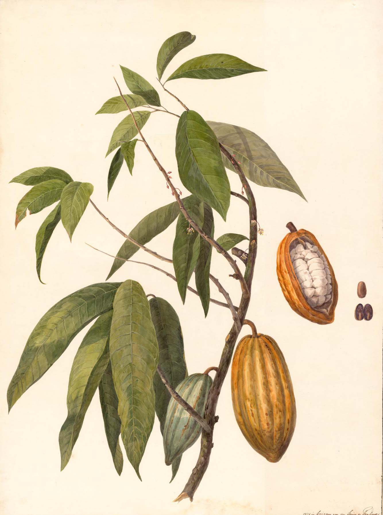 no full size  illustration available (3a)