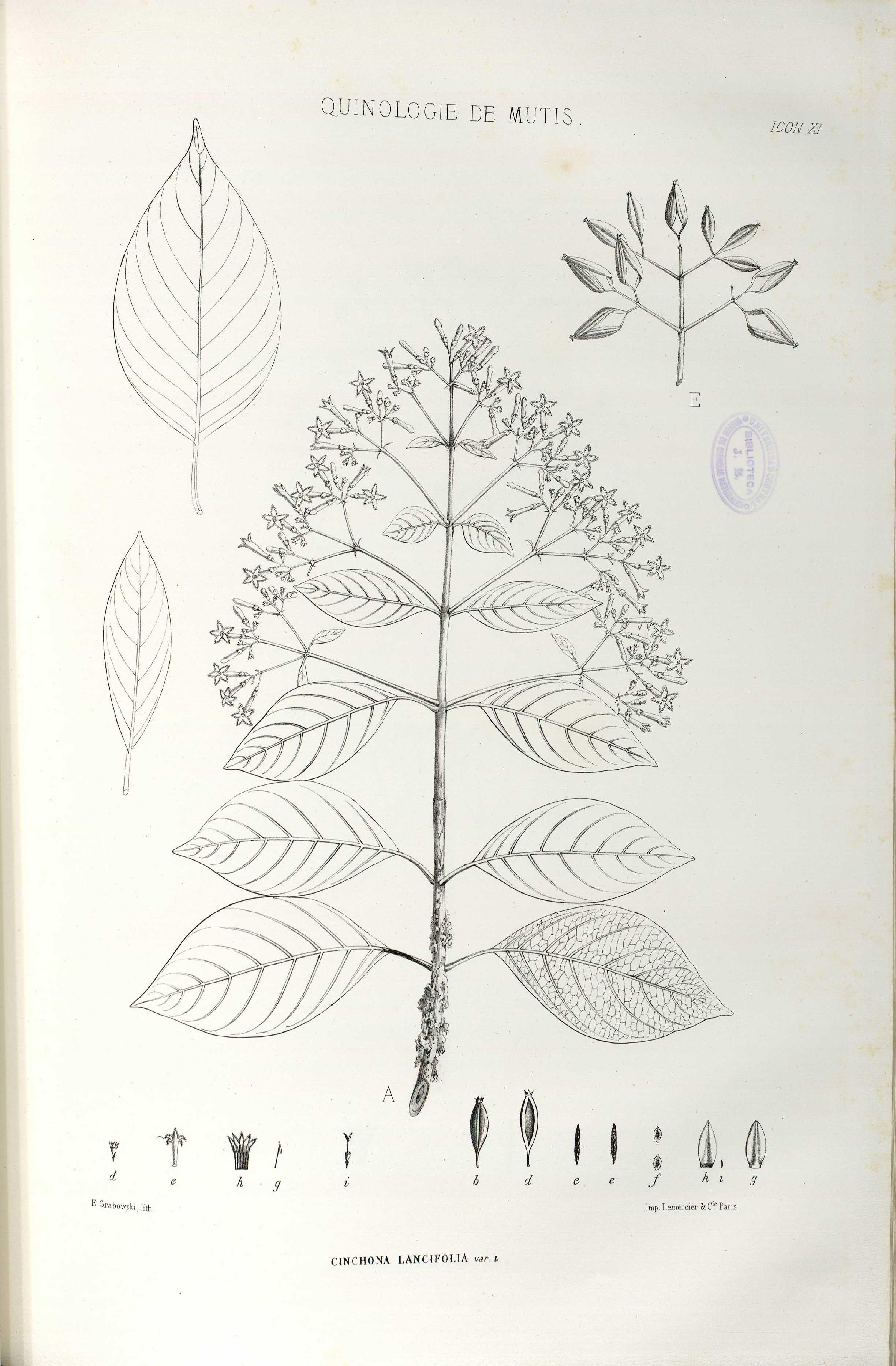 no full size  illustration available (3a)