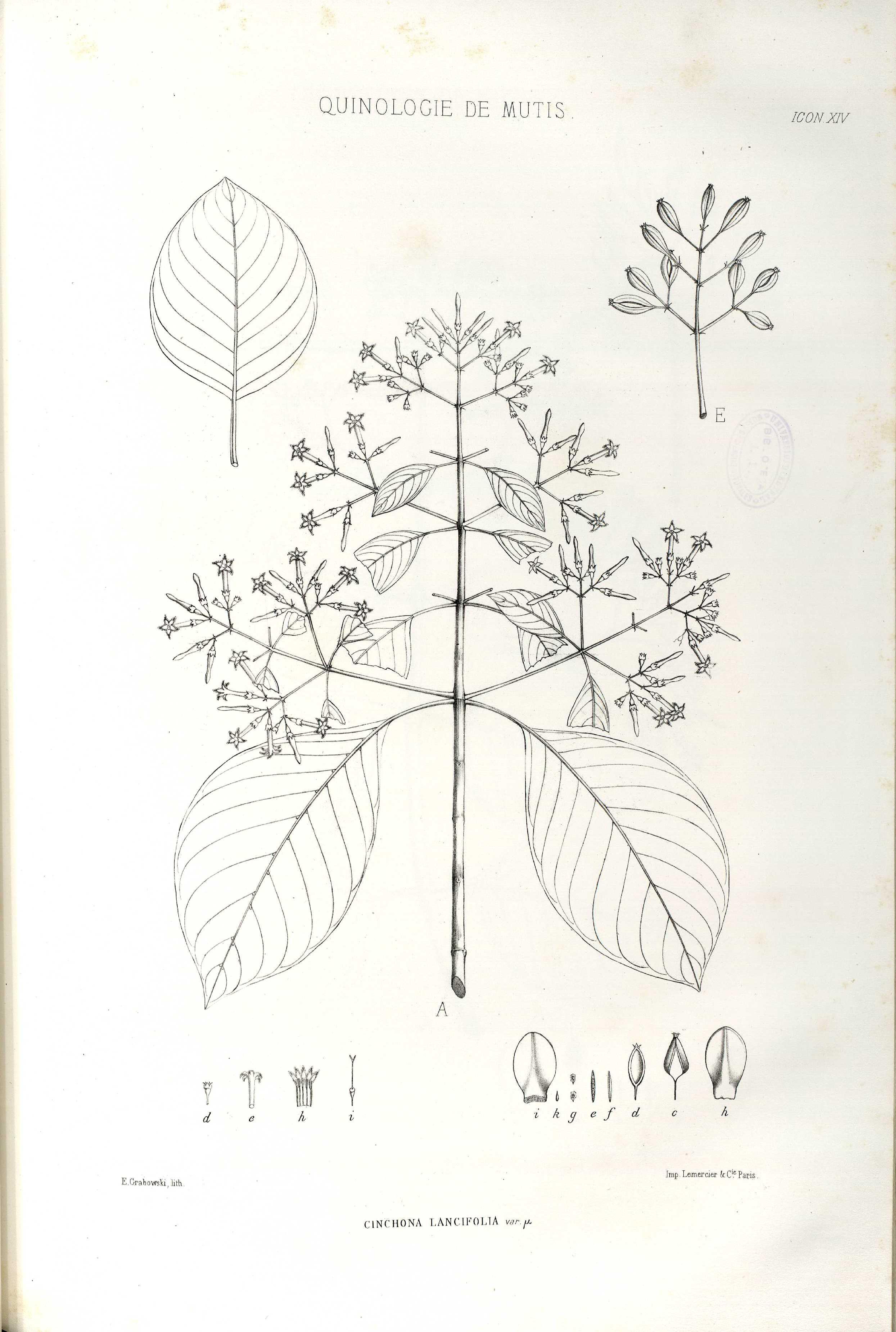 no full size  illustration available (3a)