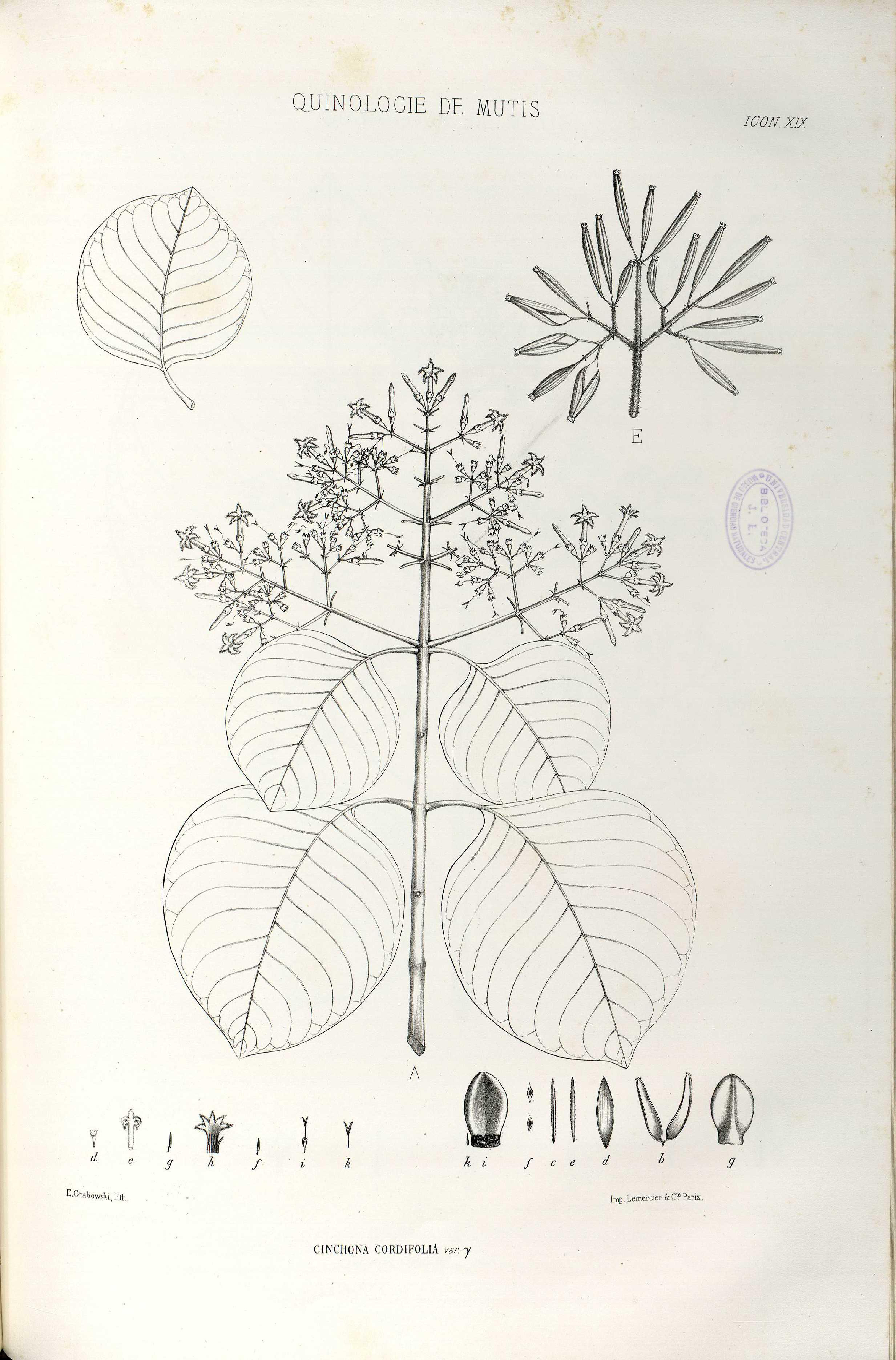 no full size  illustration available (3a)