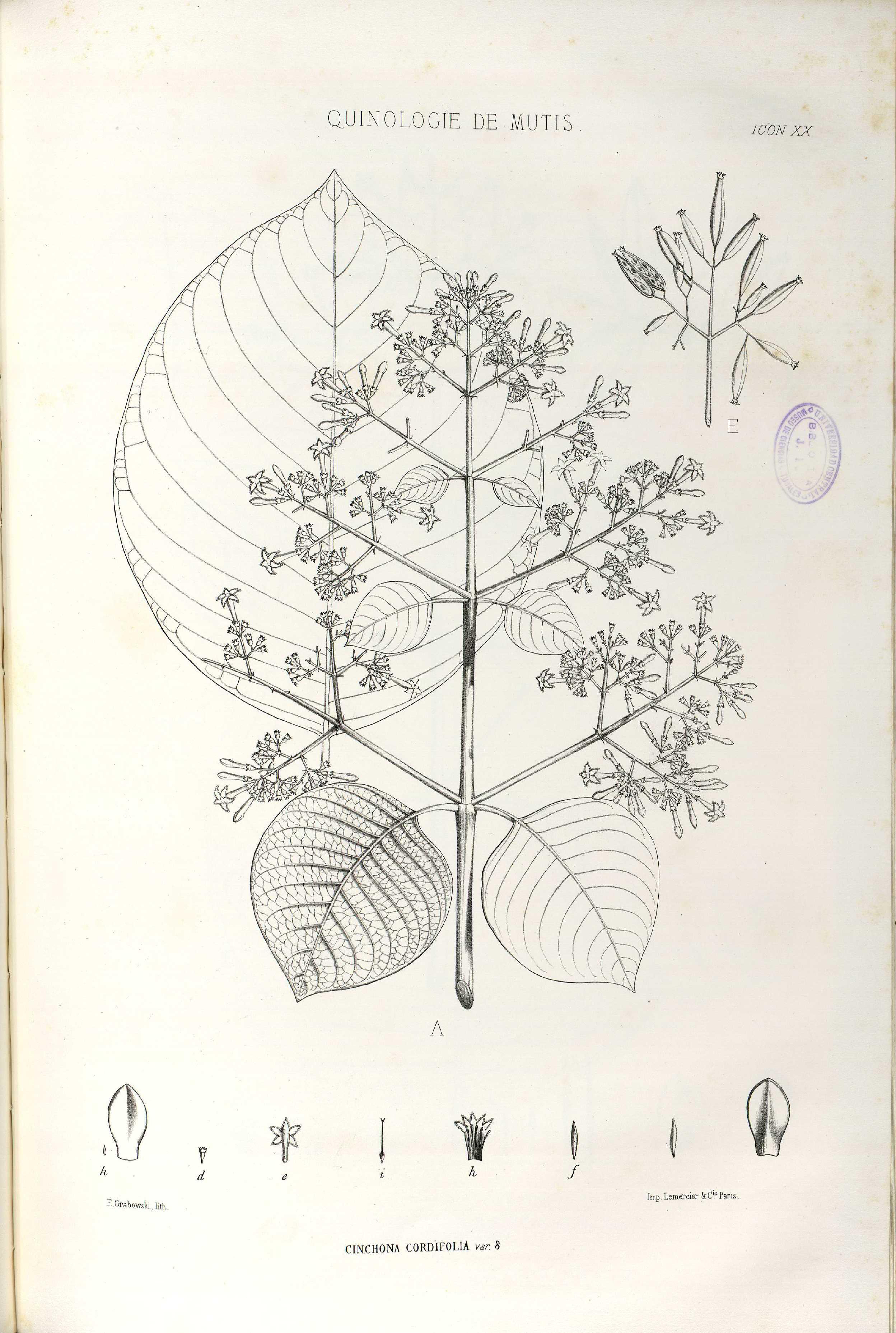 no full size  illustration available (3a)