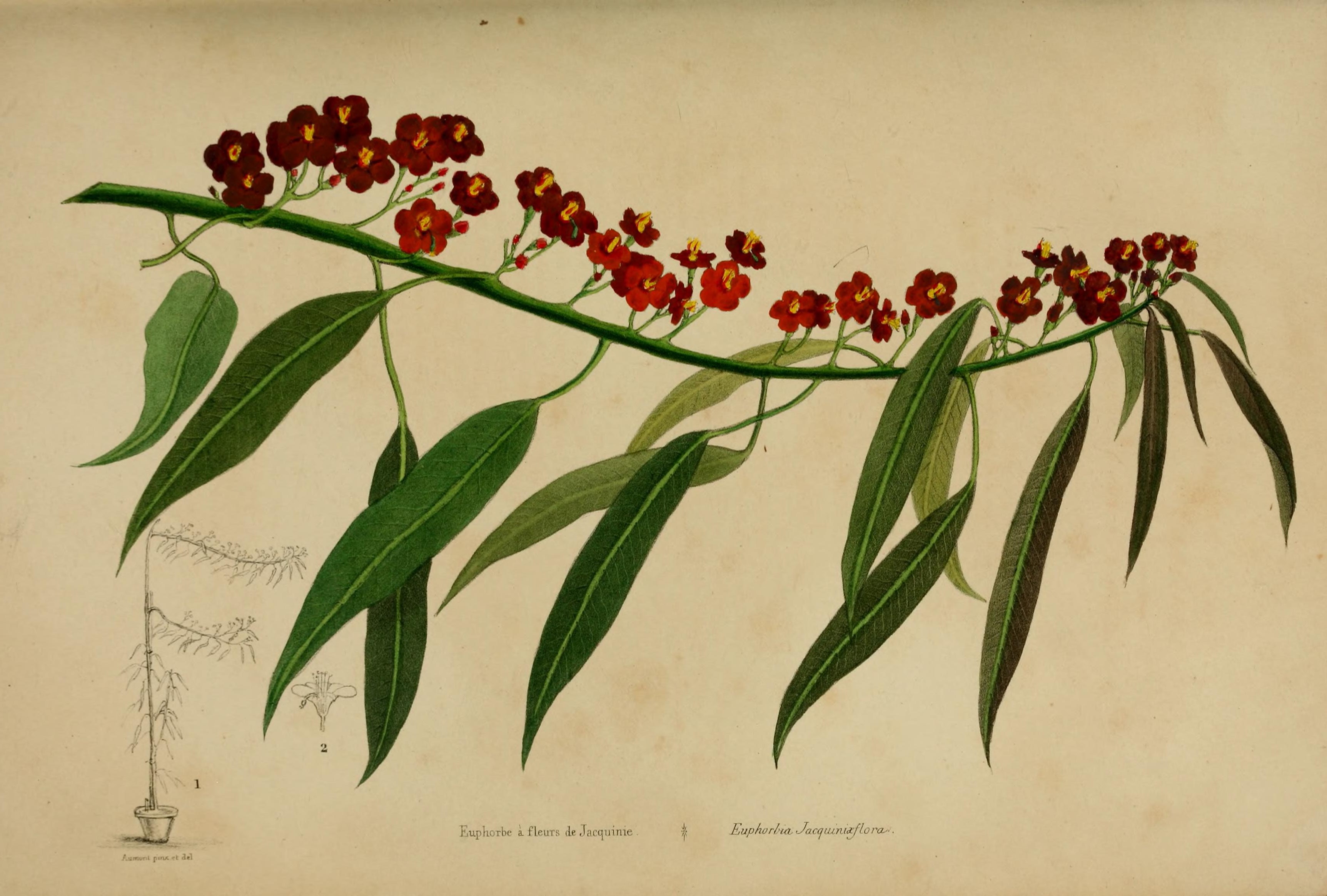 no full size  illustration available (3a)