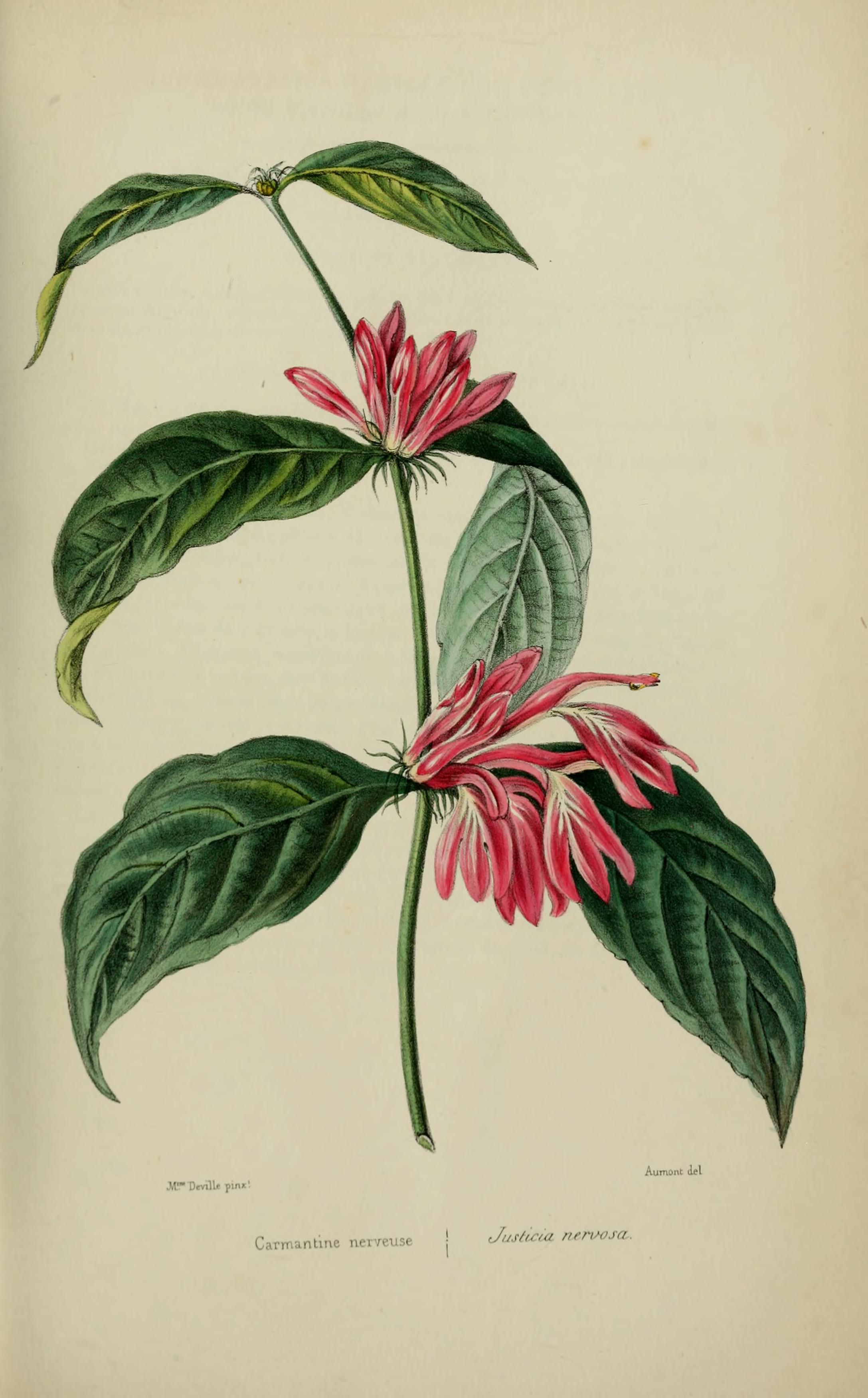 no full size  illustration available (3a)