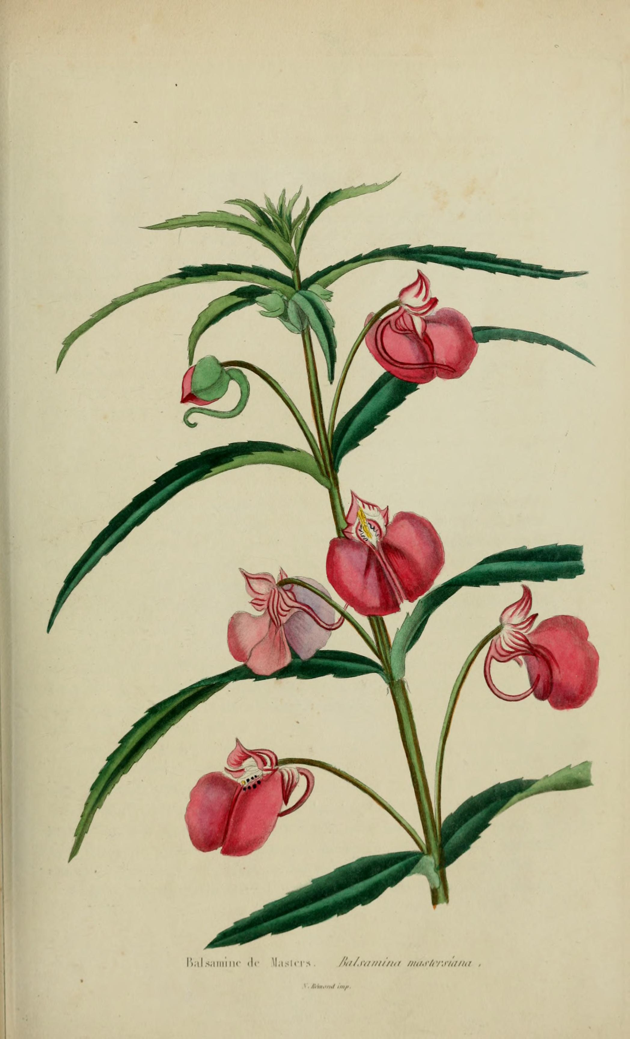 no full size  illustration available (3a)