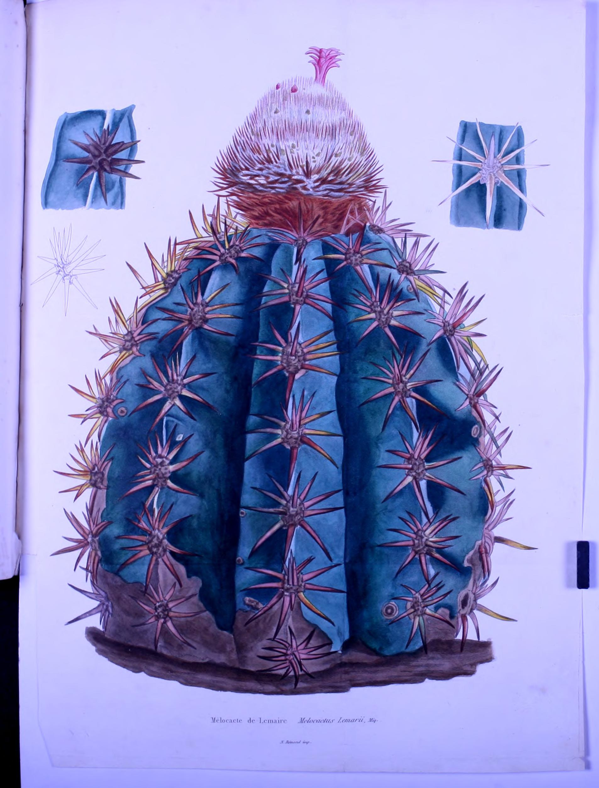 no full size  illustration available (3a)