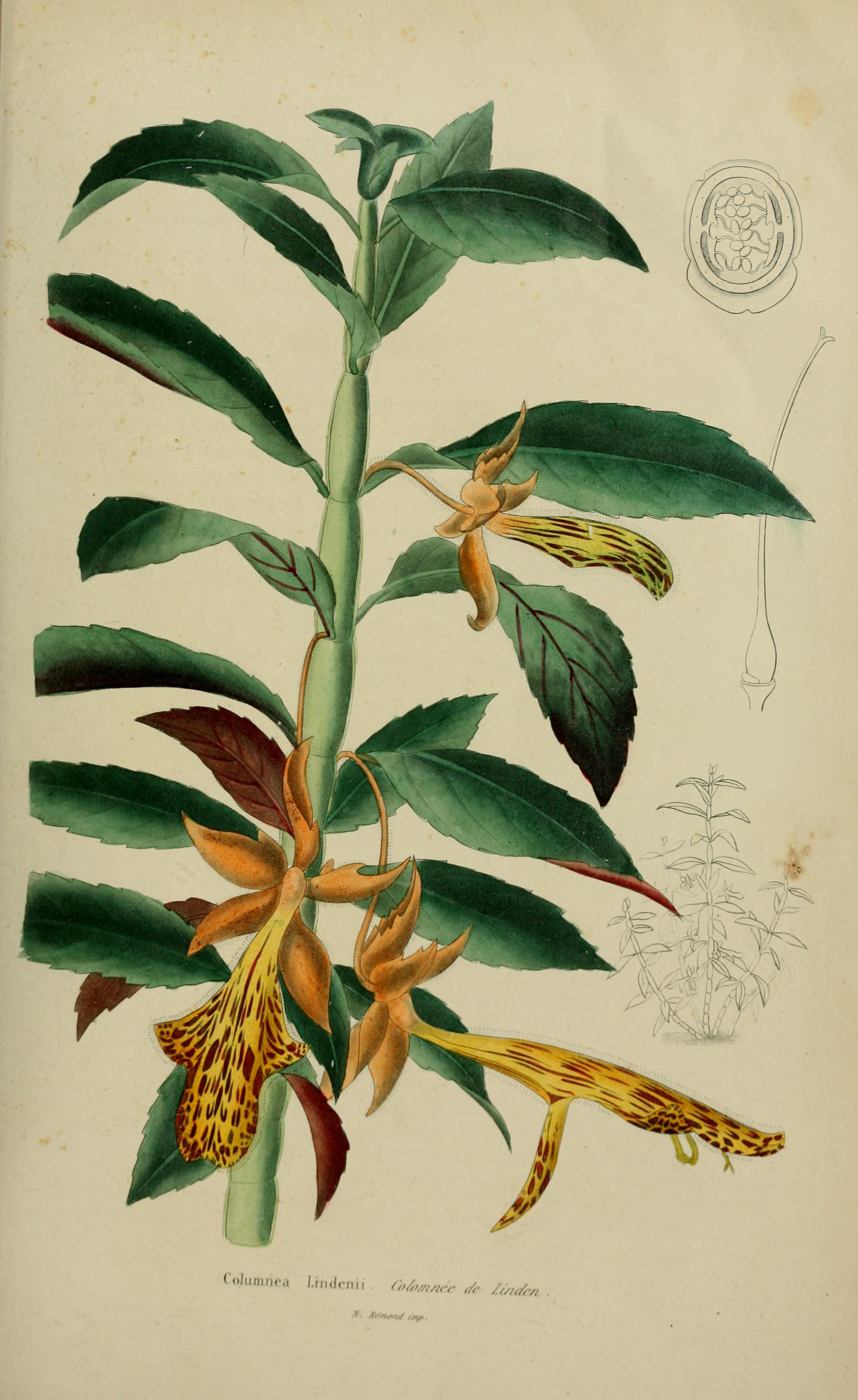 no full size  illustration available (3a)