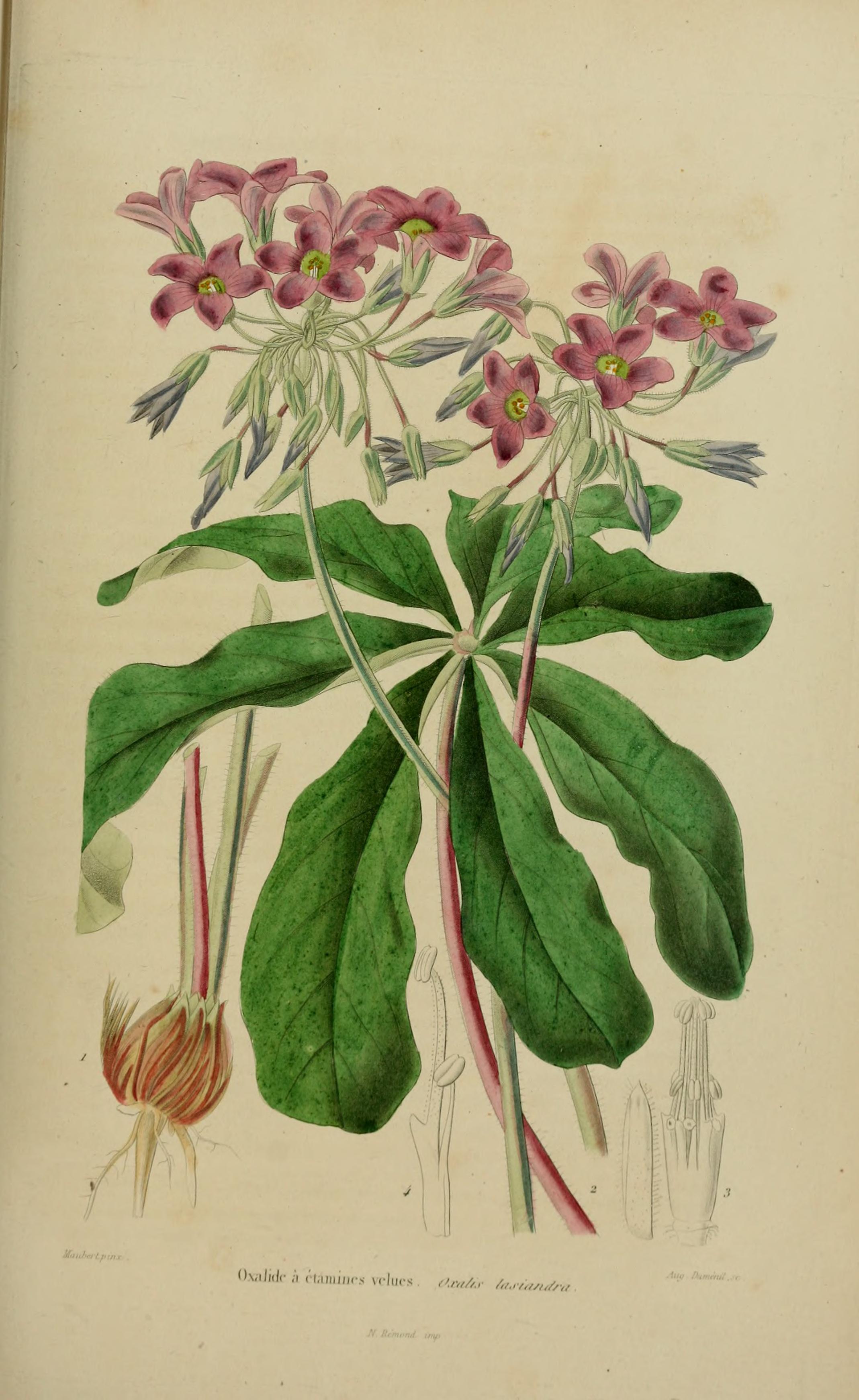 no full size  illustration available (3a)