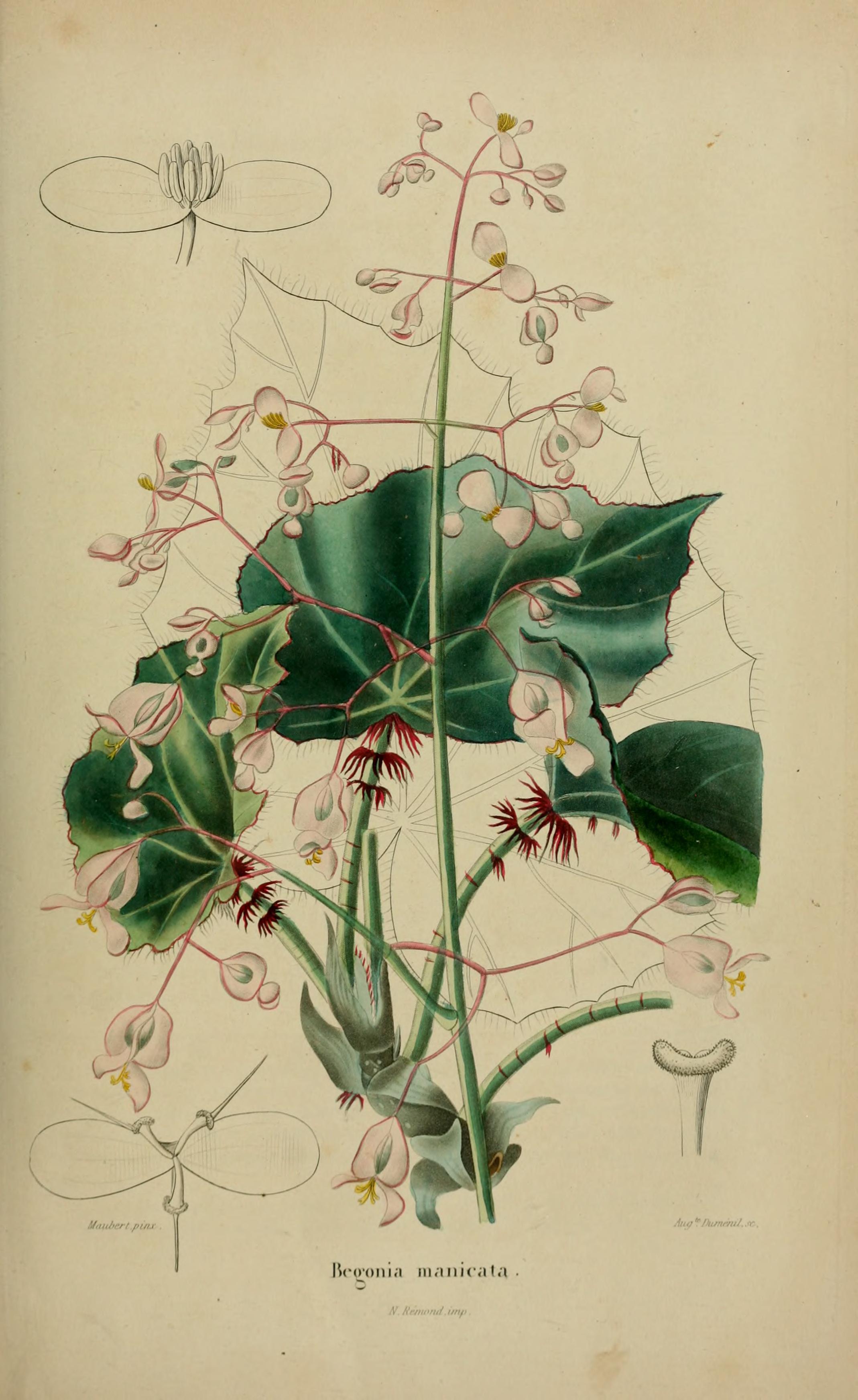 no full size  illustration available (3a)