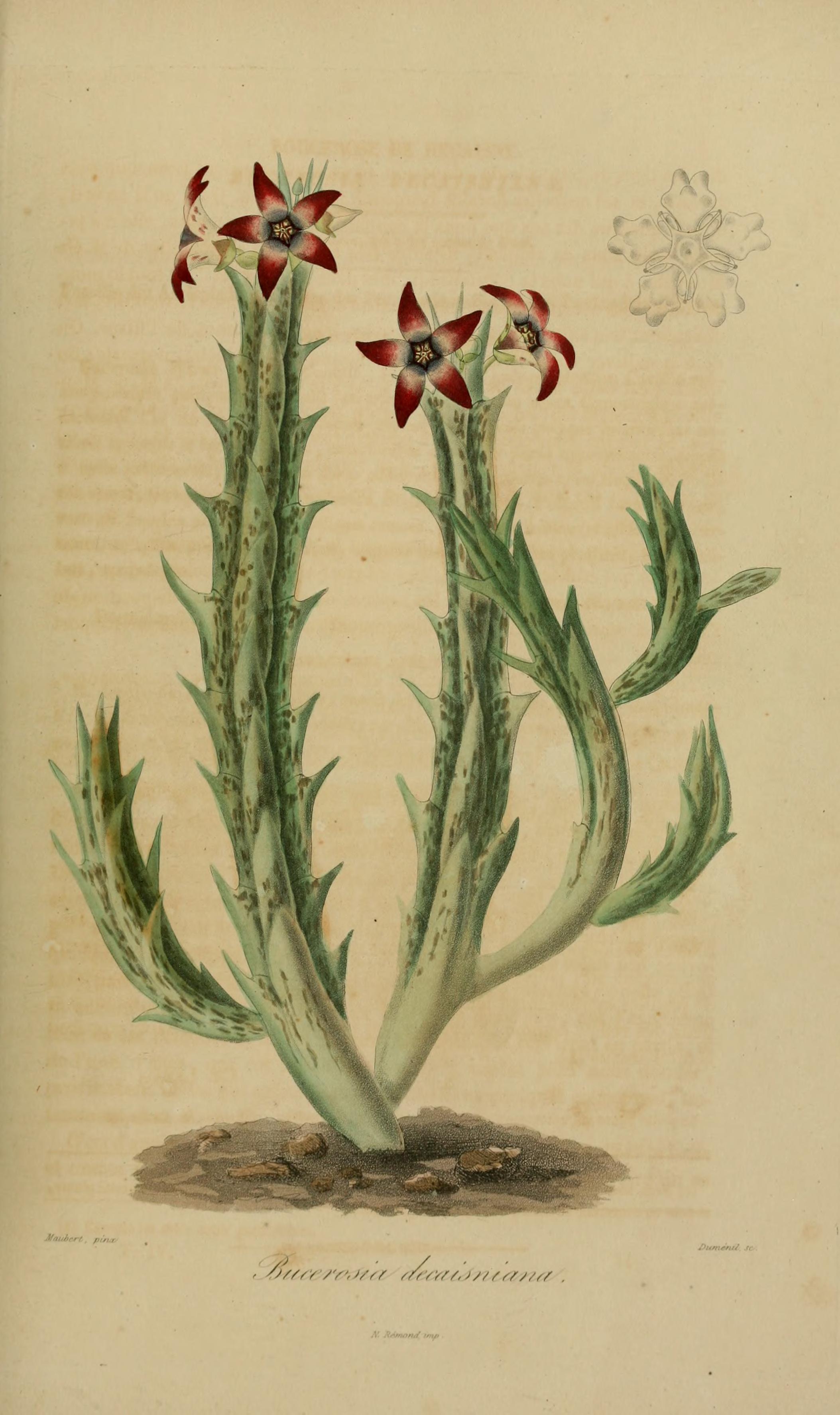 no full size  illustration available (3a)