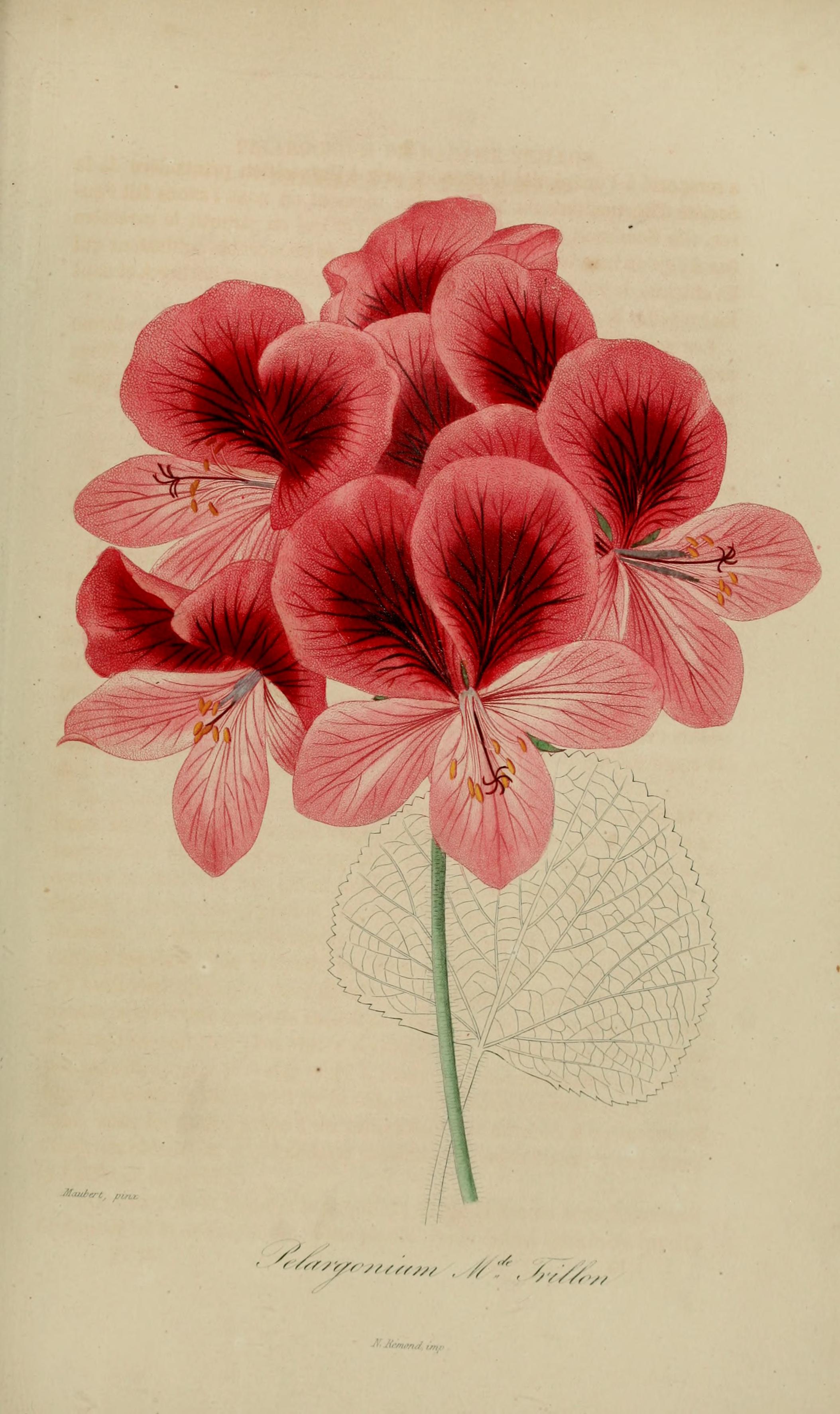 no full size  illustration available (3a)