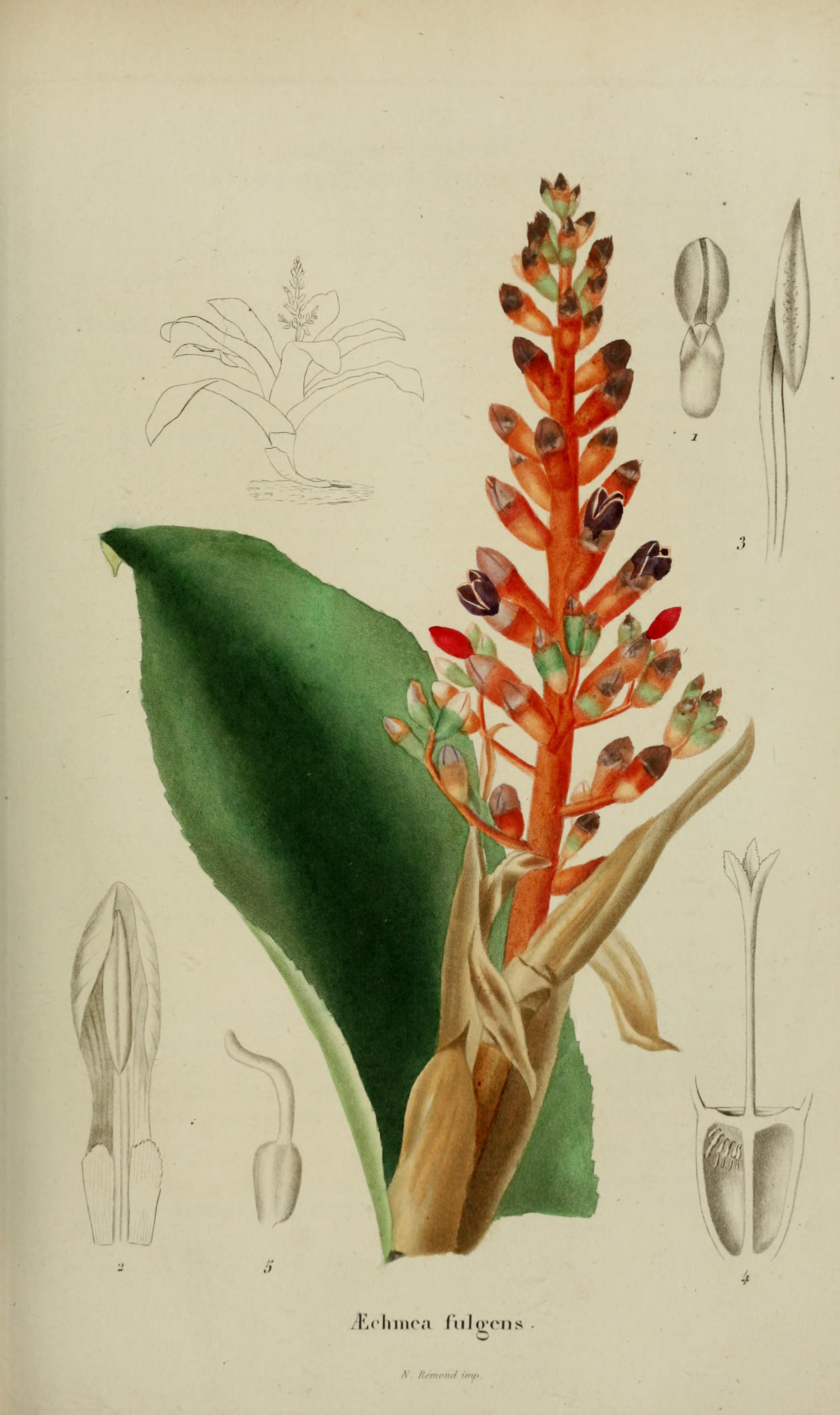 no full size  illustration available (3a)