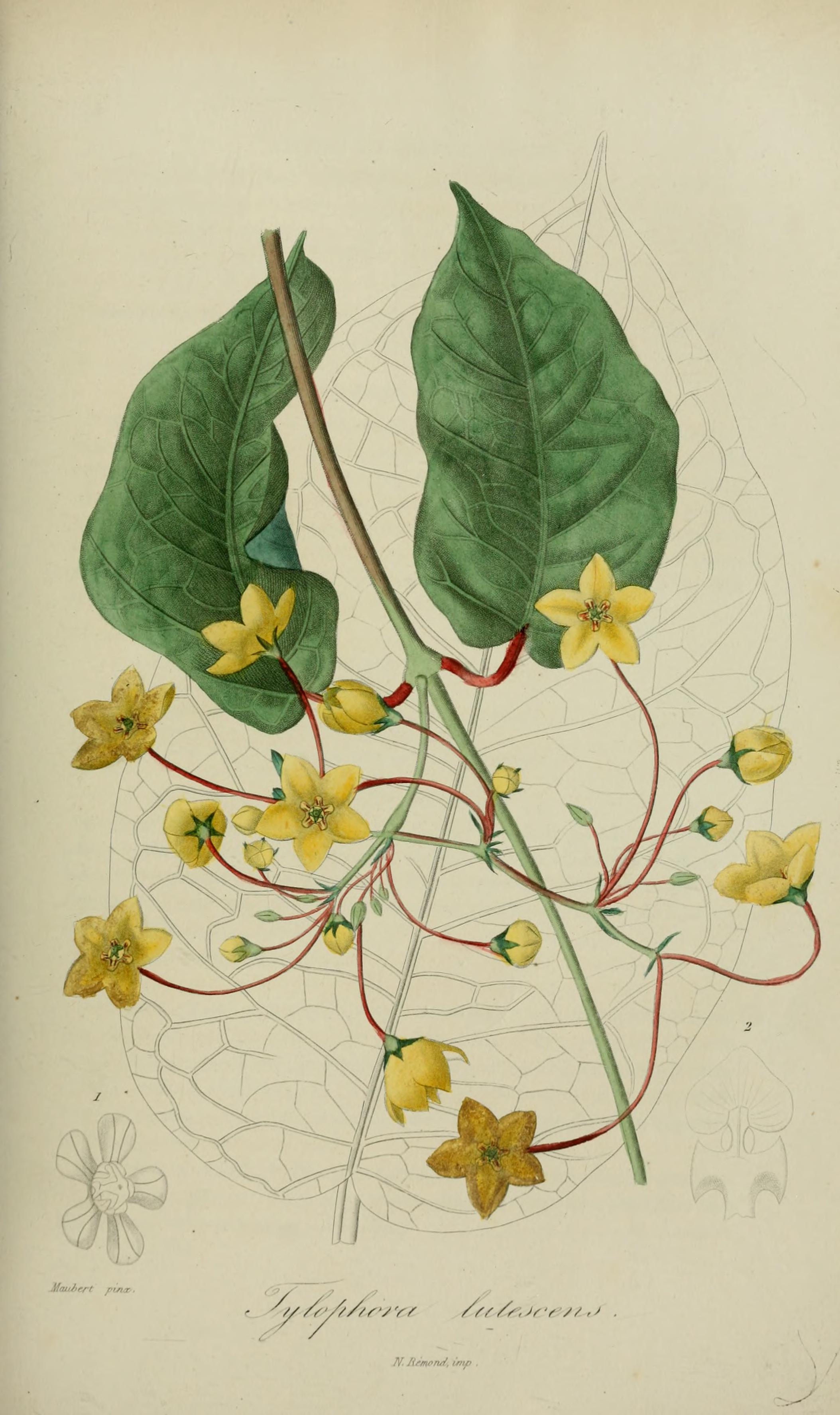 no full size  illustration available (3a)